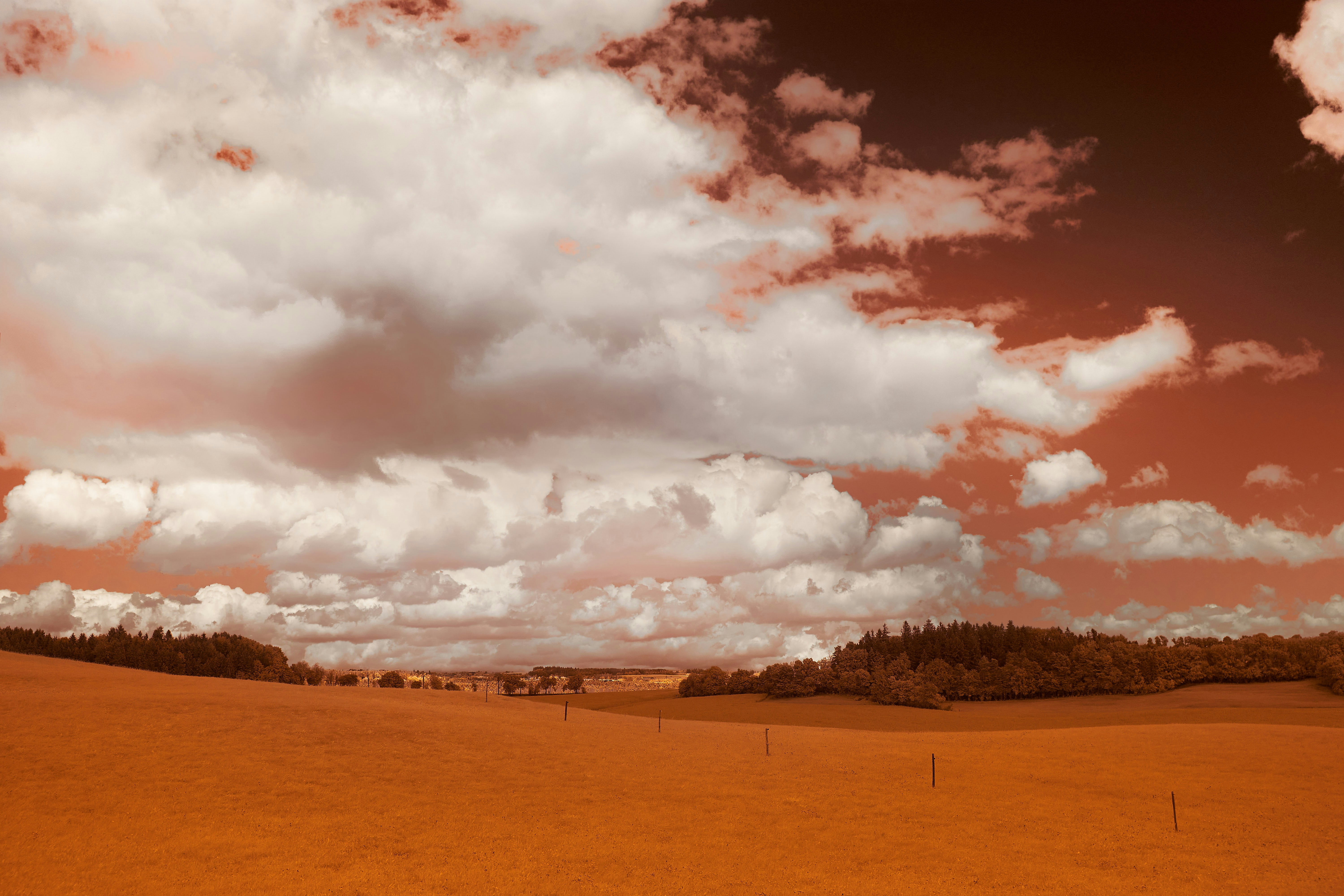 Photo by wolfgang_hasselmann