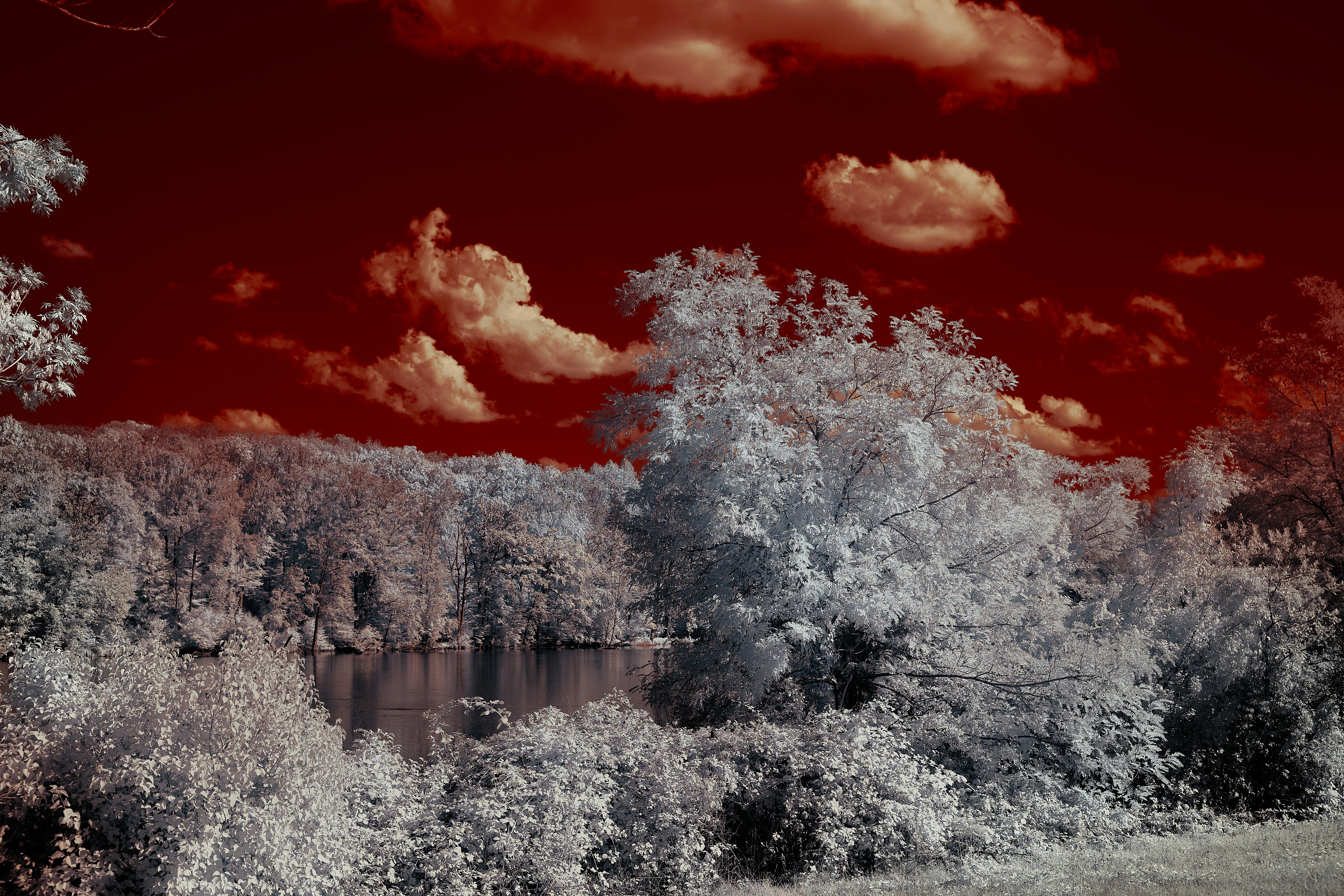 Photo by wolfgang_hasselmann