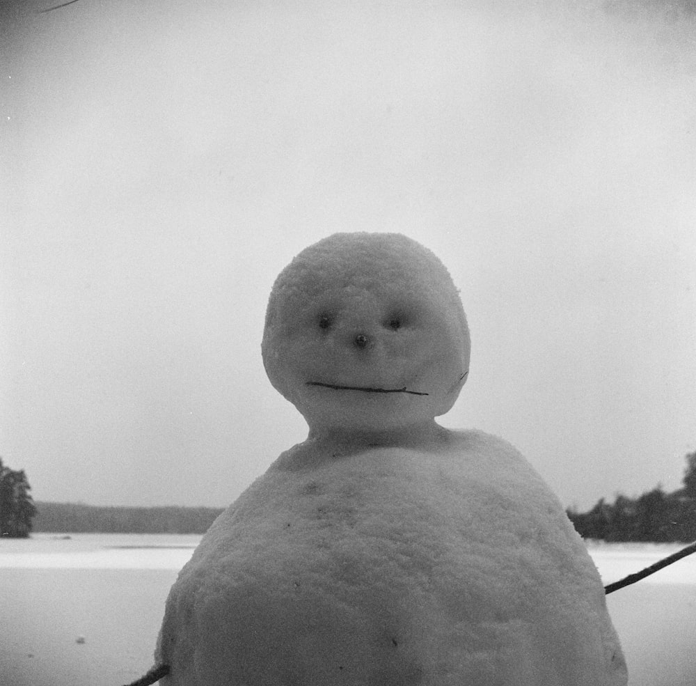 grayscale film photo of a snowman
