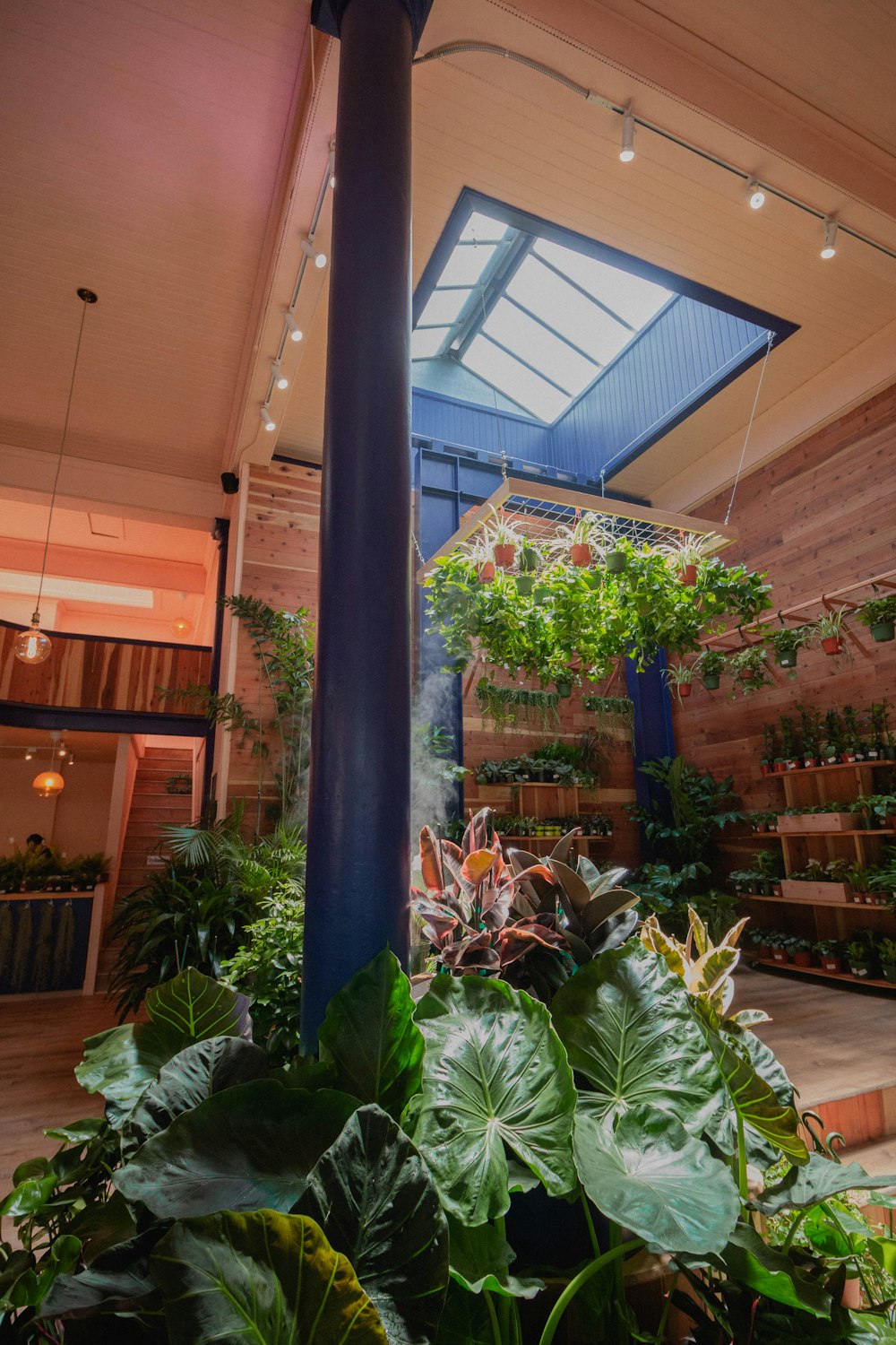 green plants in brown wooden pot