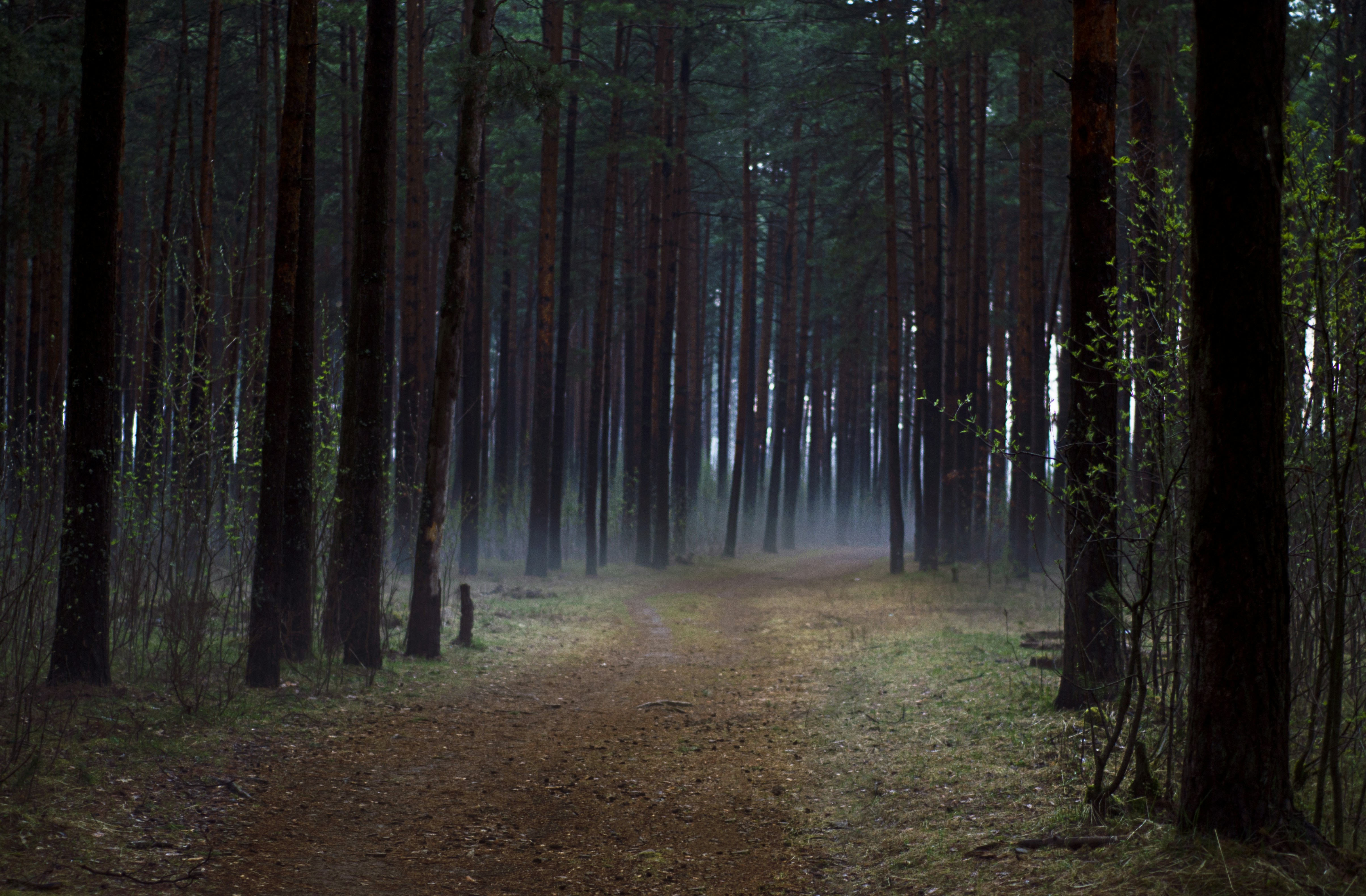 Photo by indi_grunge