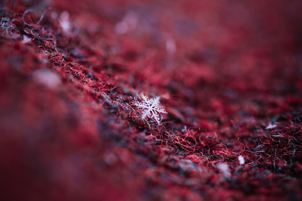 red and white knit textile