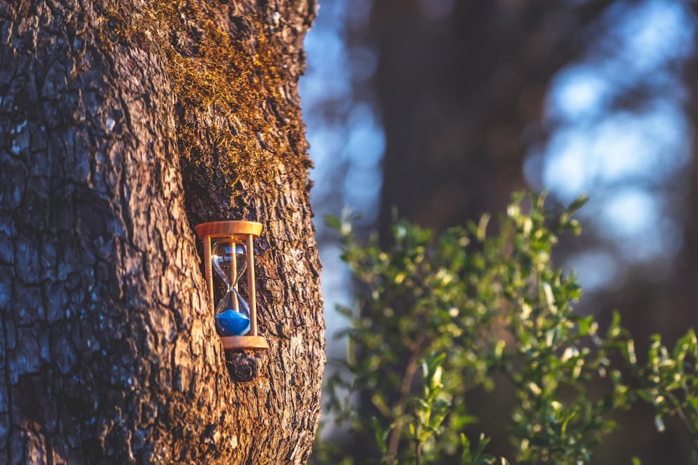 brown wooden hanging lantern on brown tree trunk during daytime