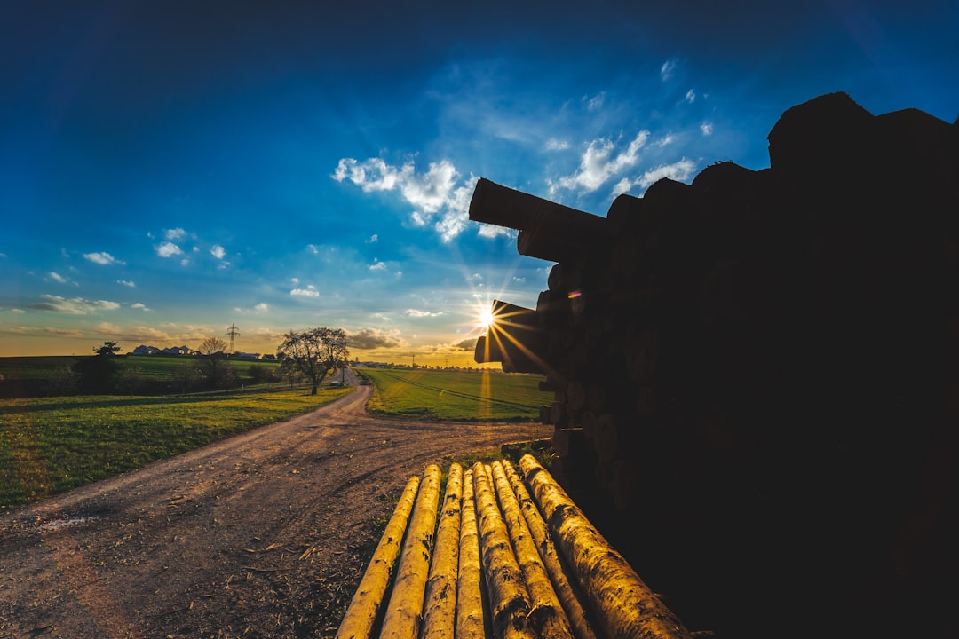 brown wooden bench on green grass field under blue sky during daytime