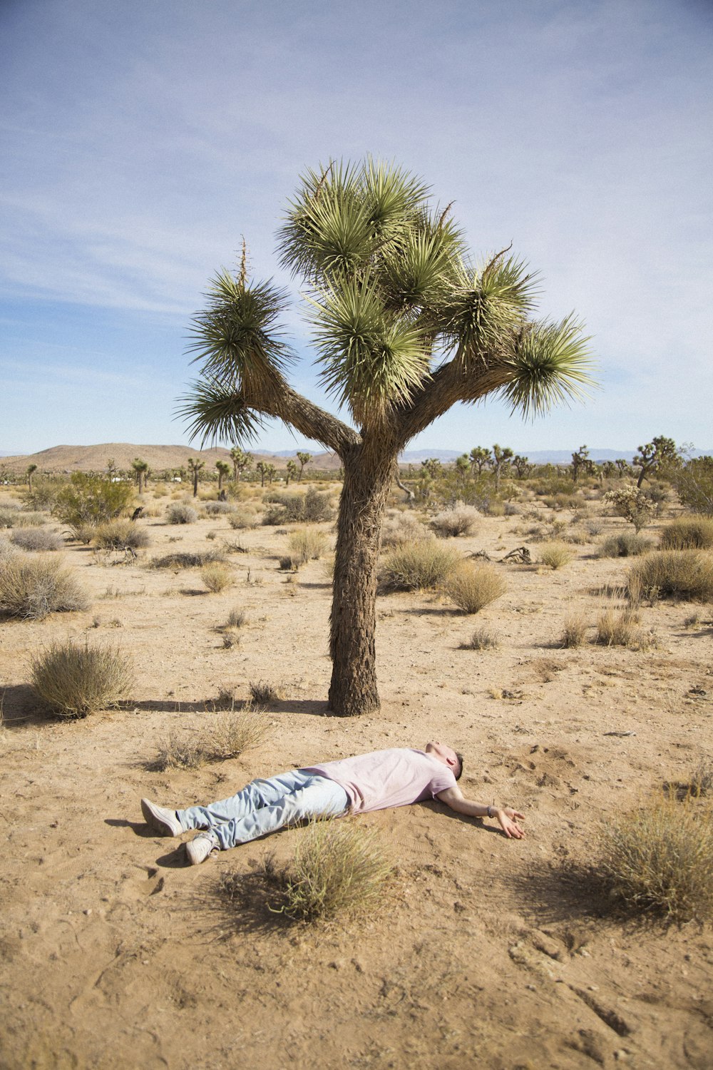 woman in white shirt lying on brown sand during daytime