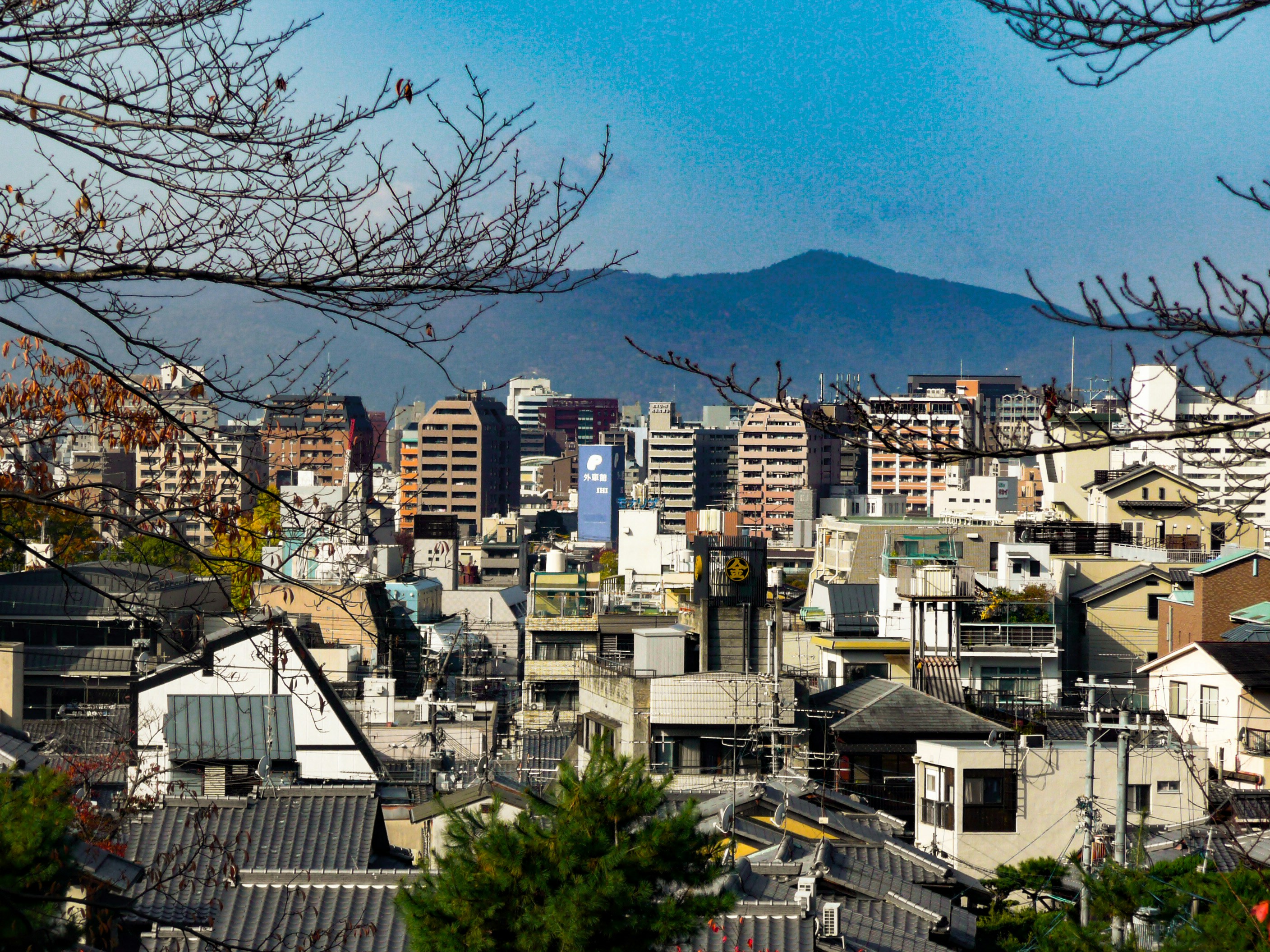 Photo by nicholasng210