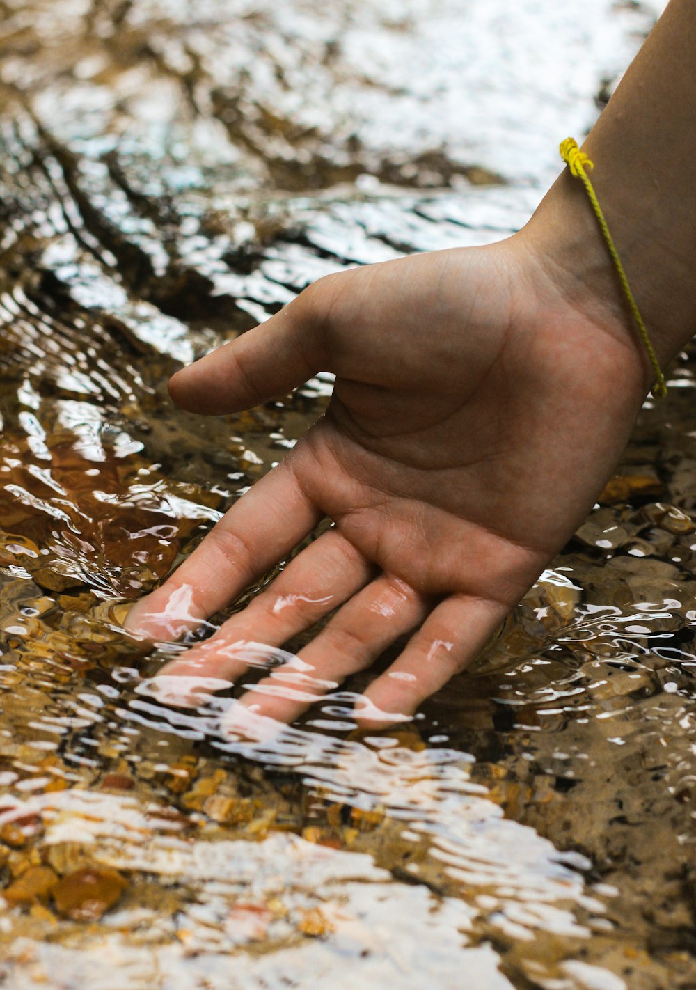 Persona che tiene la foglia verde sull'acqua