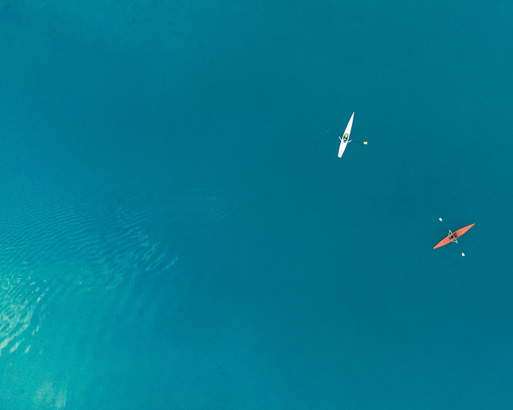 3 birds flying over the sea during daytime