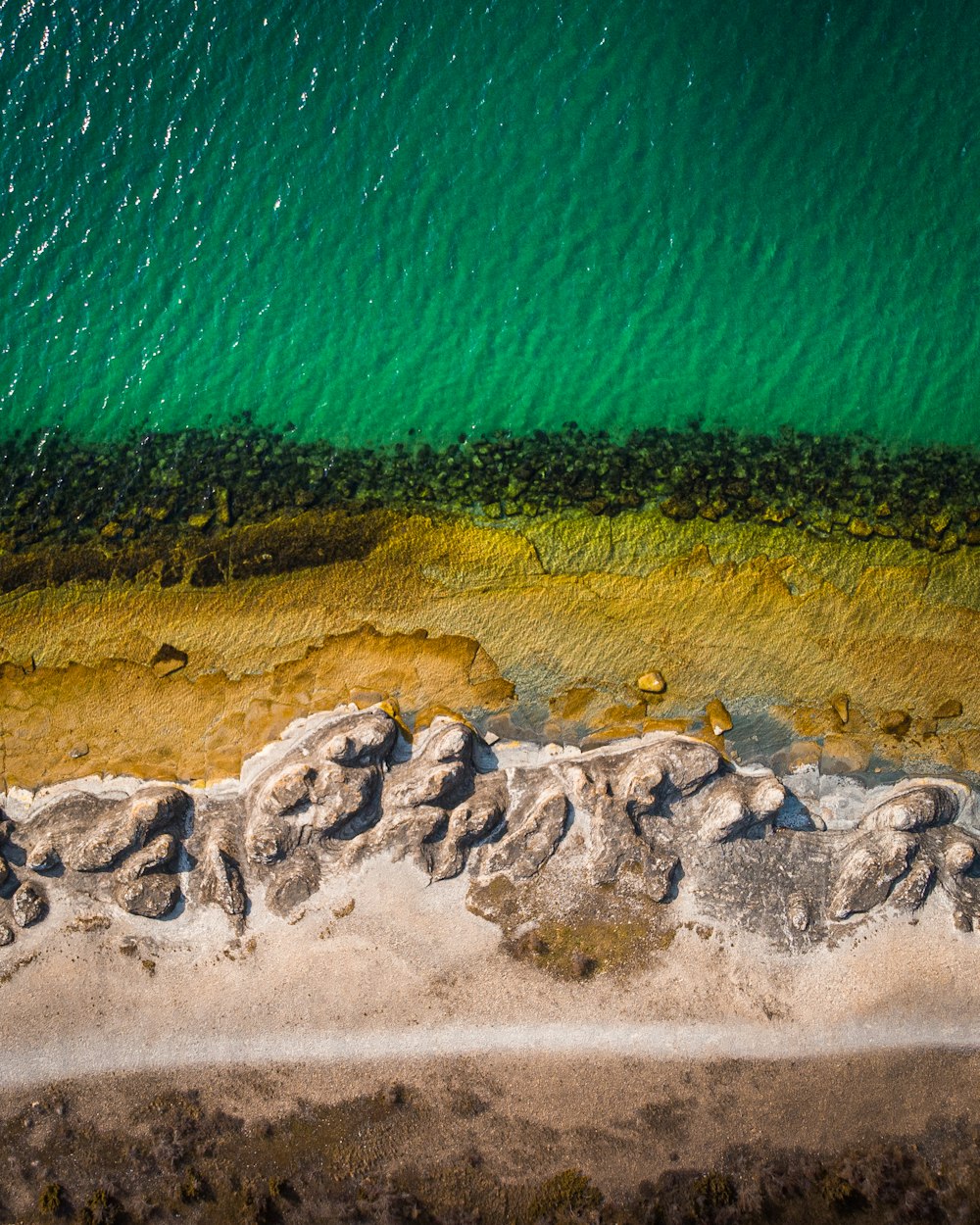 aerial view of beach during daytime