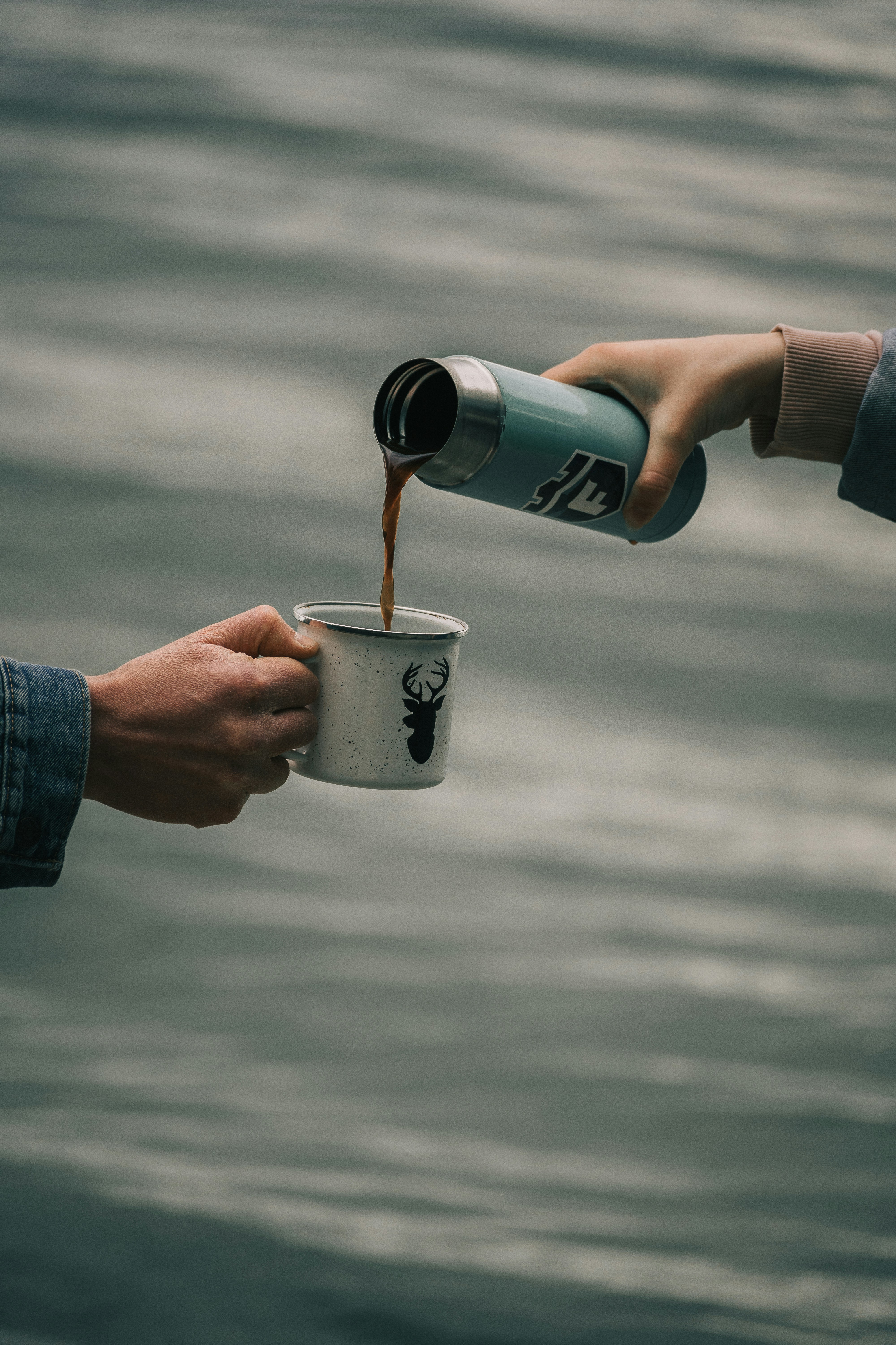 person holding white and black disposable cup