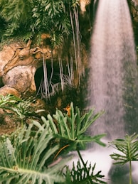 green plants near waterfalls during daytime