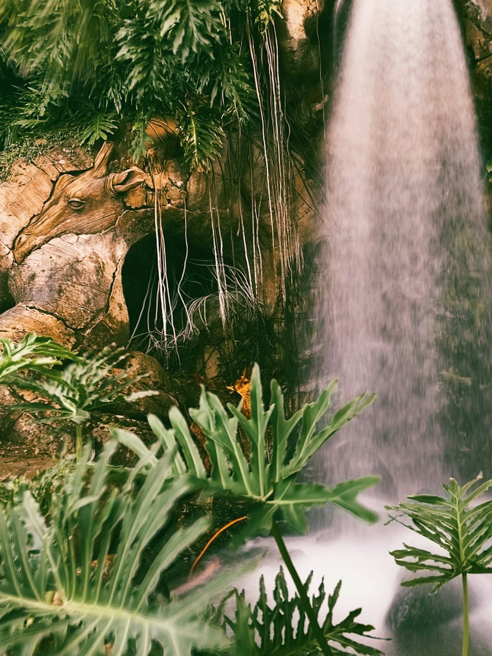 Plantas verdes cerca de cascadas durante el día