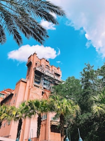 green palm tree near brown concrete building