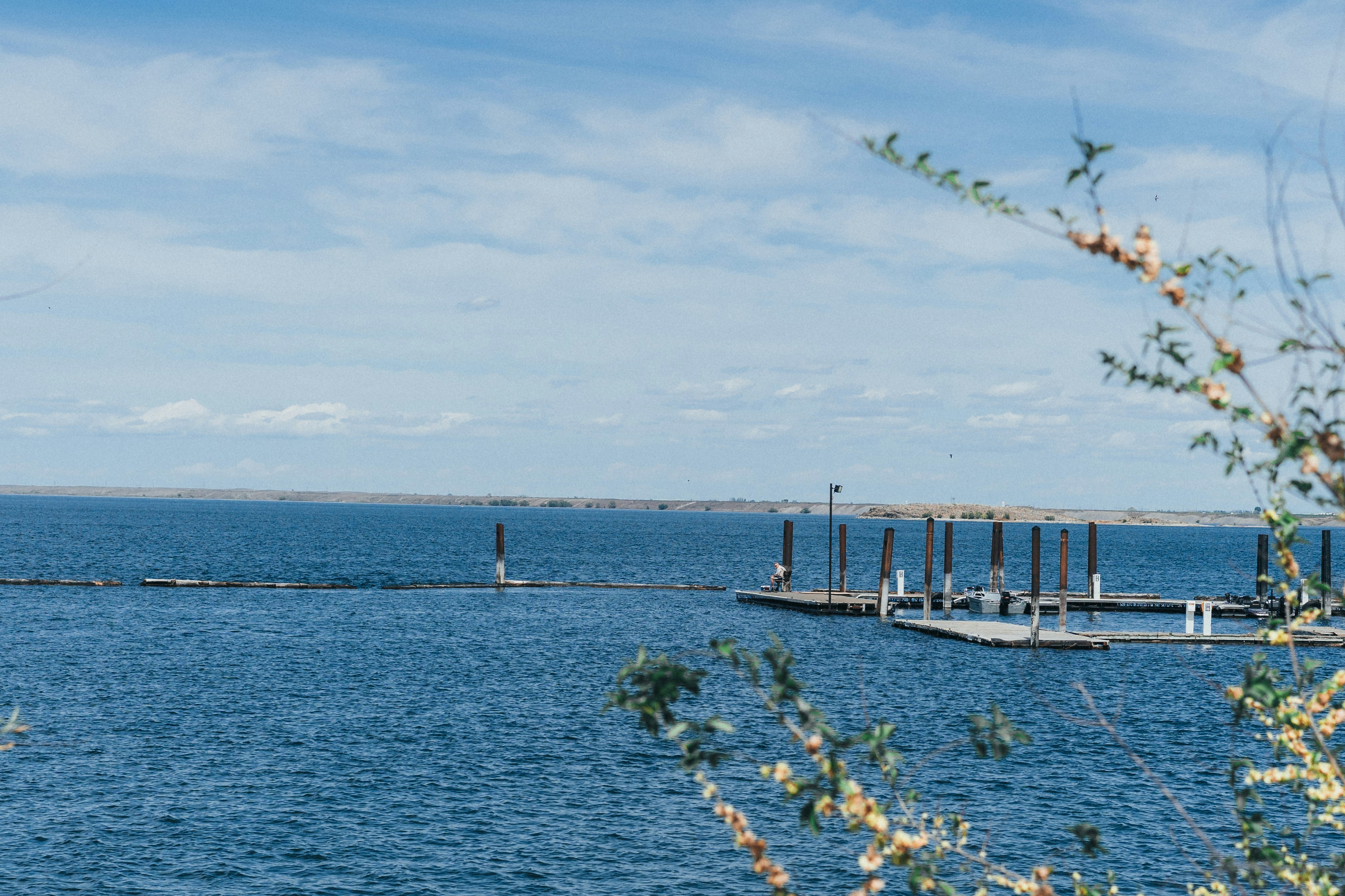 Photo by gymxratpapii