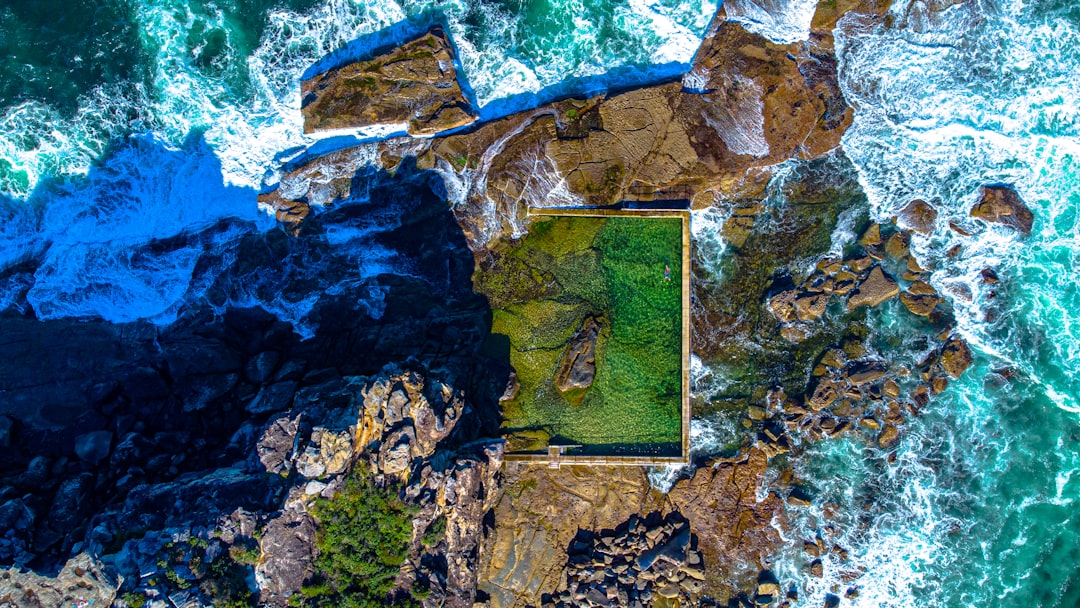 green moss on brown rock