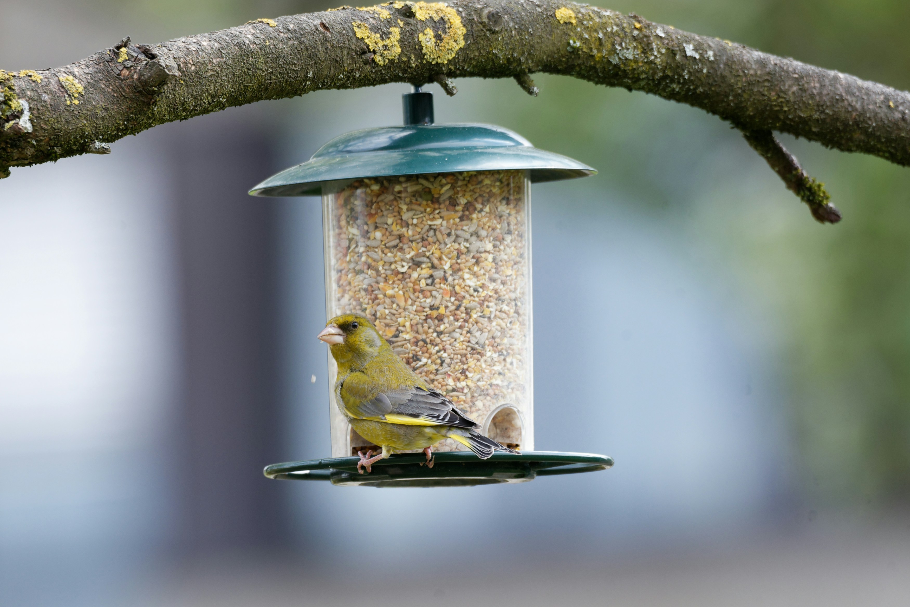 Photo by designbytholen