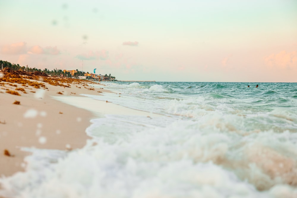 people on beach during daytime