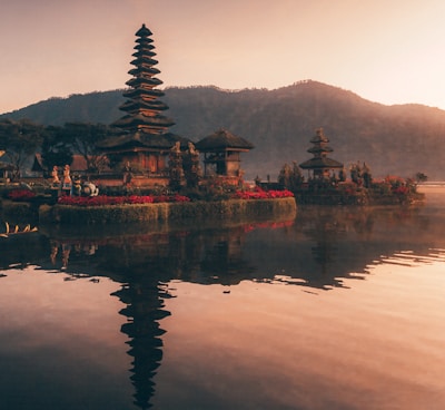 brown and black temple near body of water during daytime