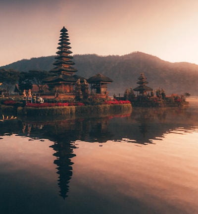 brown and black temple near body of water during daytime