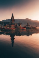 brown and black temple near body of water during daytime
