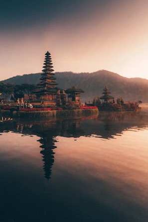 brown and black temple near body of water during daytime