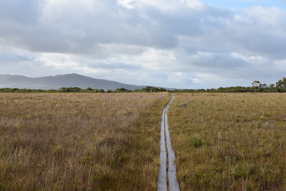 brown wooden pathway between green grass field under white clouds during daytime