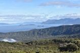 A panoramic view of lush greenery meeting the turquoise ocean in northern Peru.