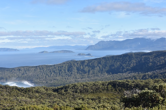A panoramic view of lush greenery meeting the turquoise ocean in northern Peru.