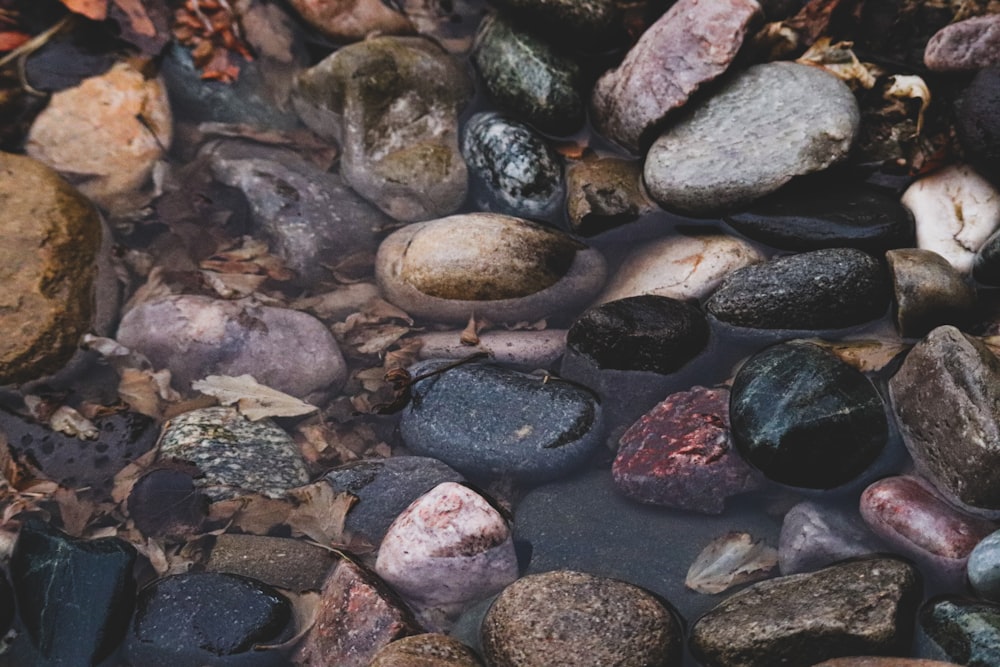 gray and black stones on water