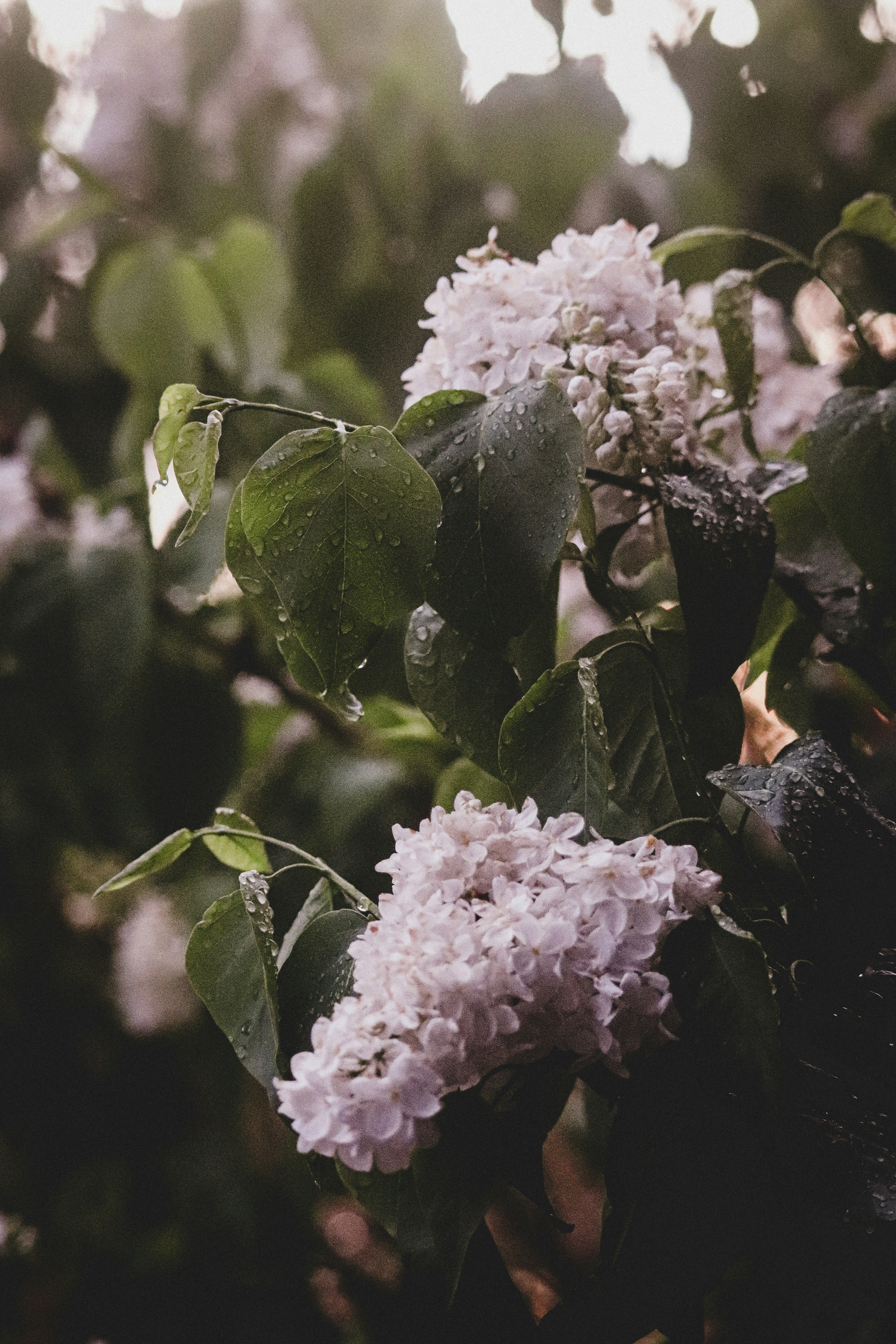 Photo by laurenelise35