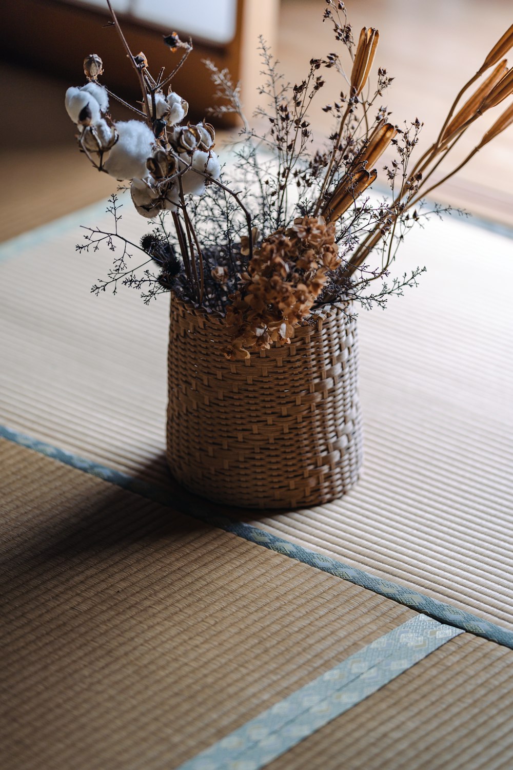brown and white plant on brown wicker basket