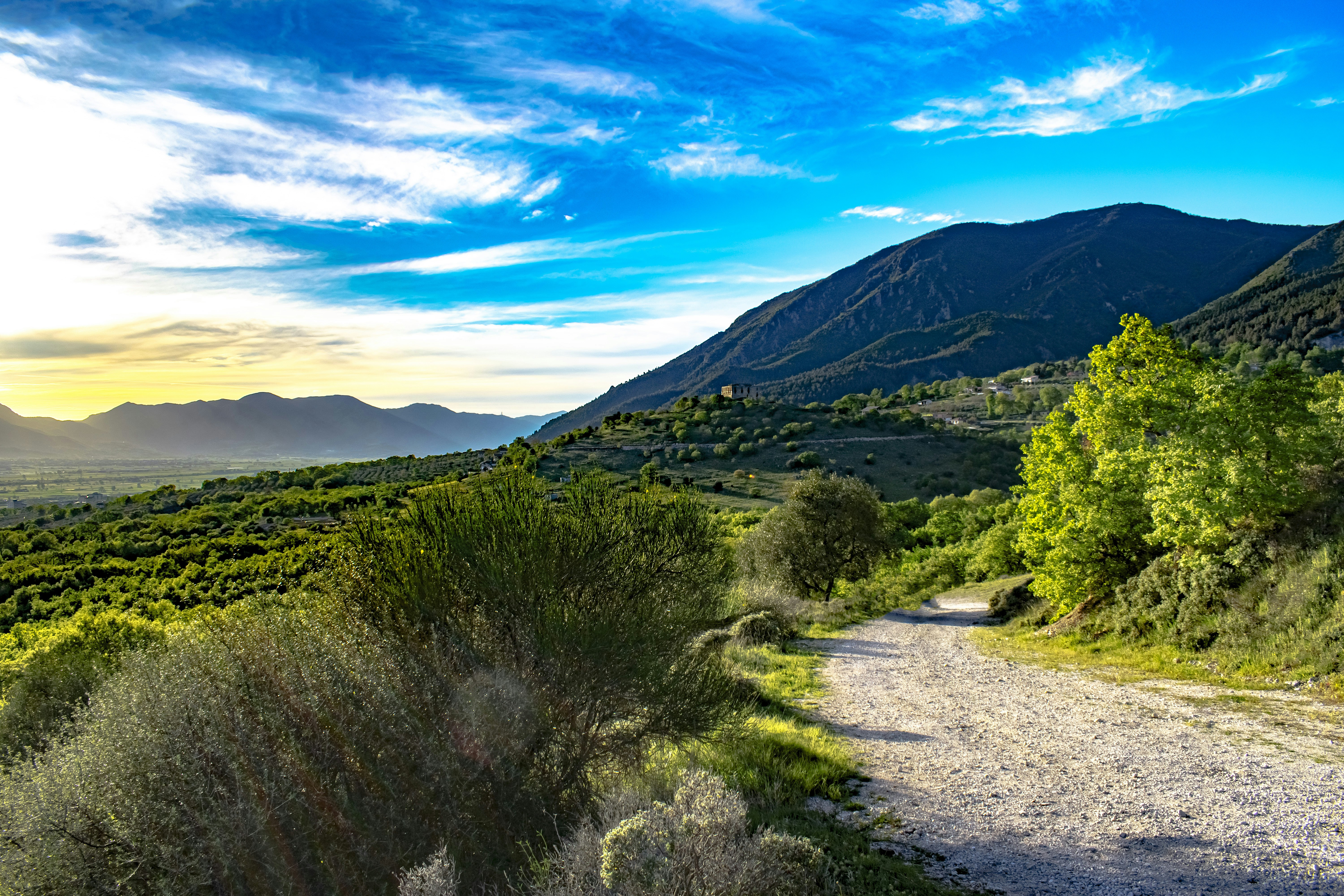 Photo by vincenzobiancamano