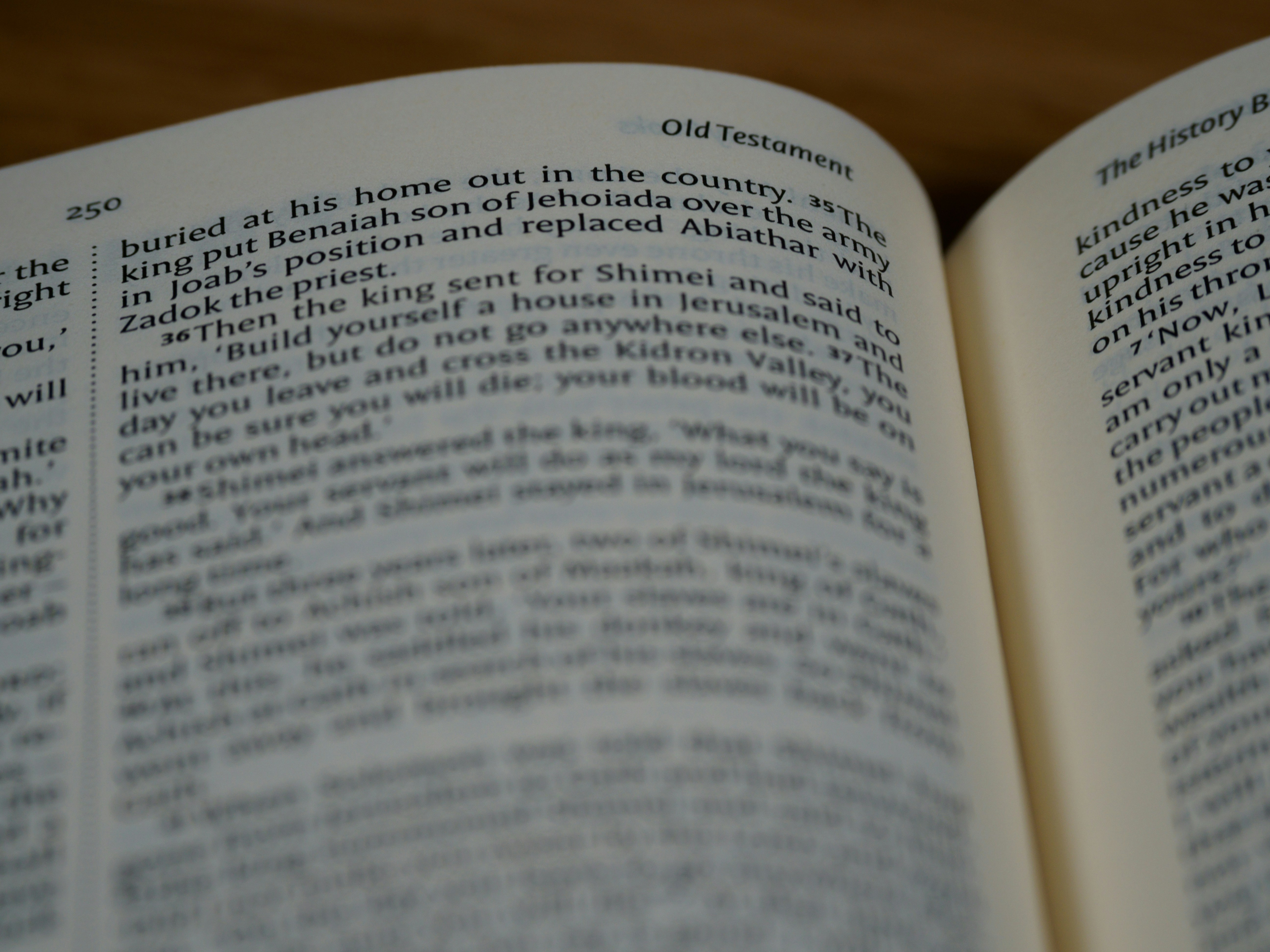 Photo by brett_jordan