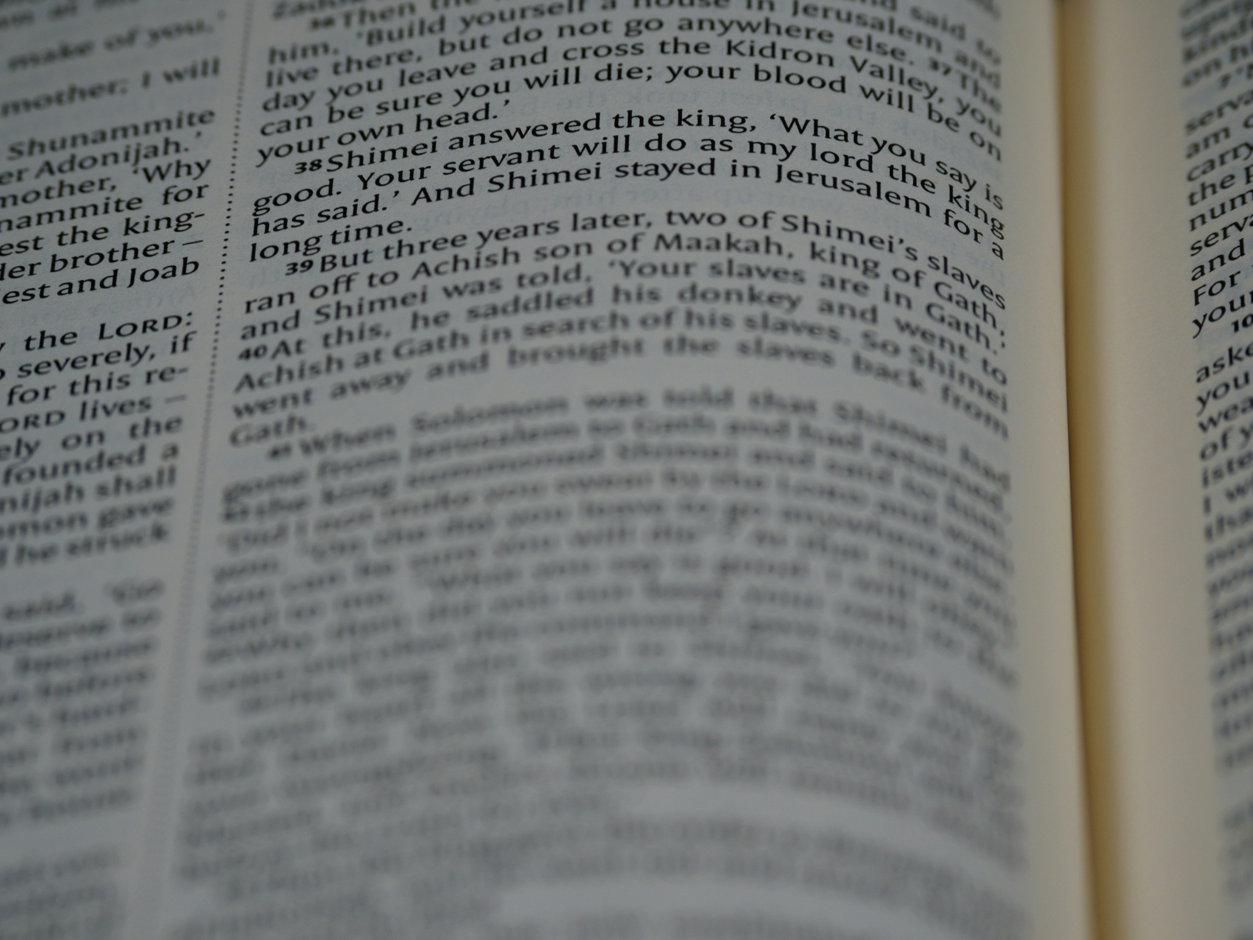 Photo by brett_jordan