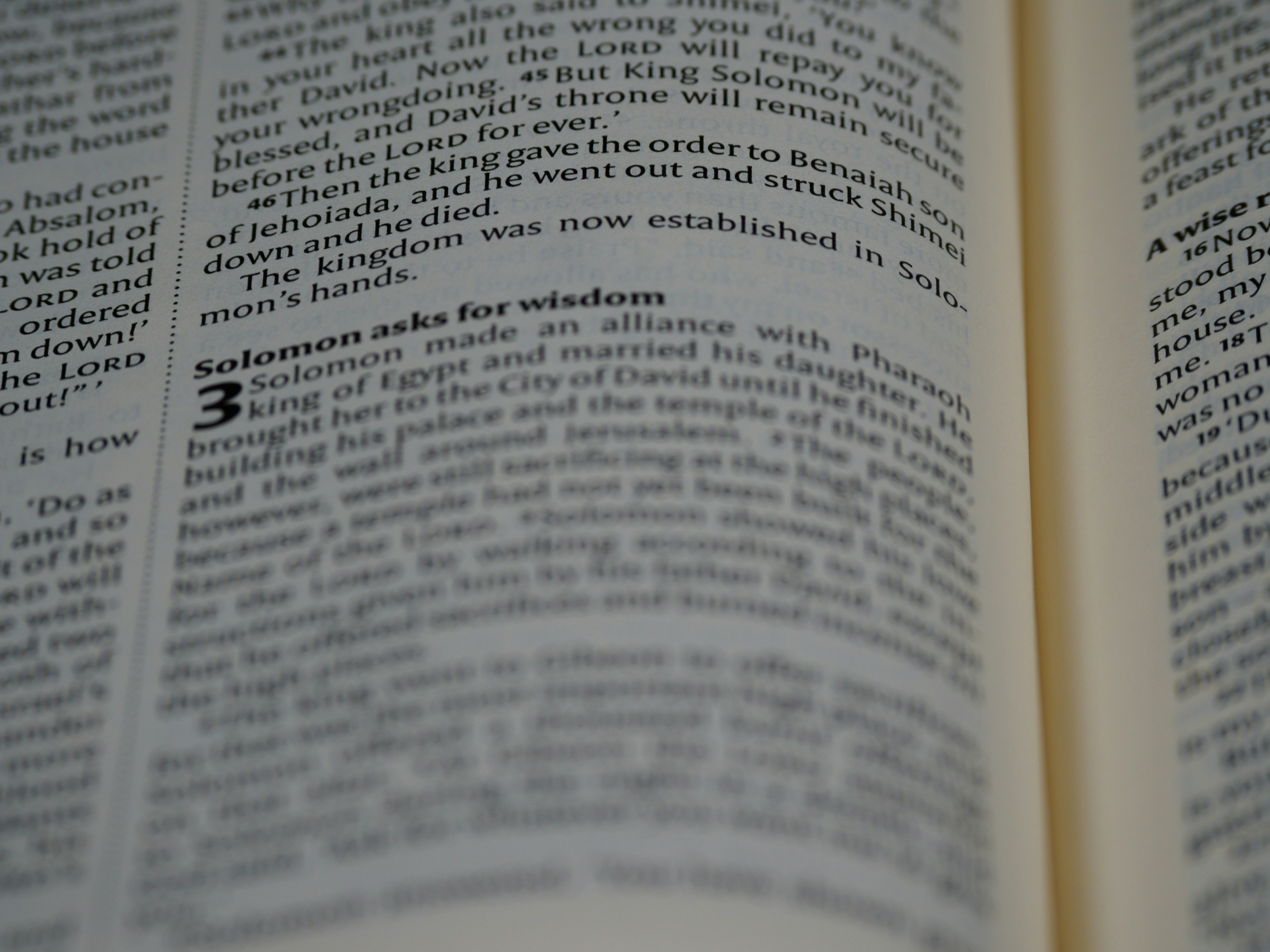 Photo by brett_jordan