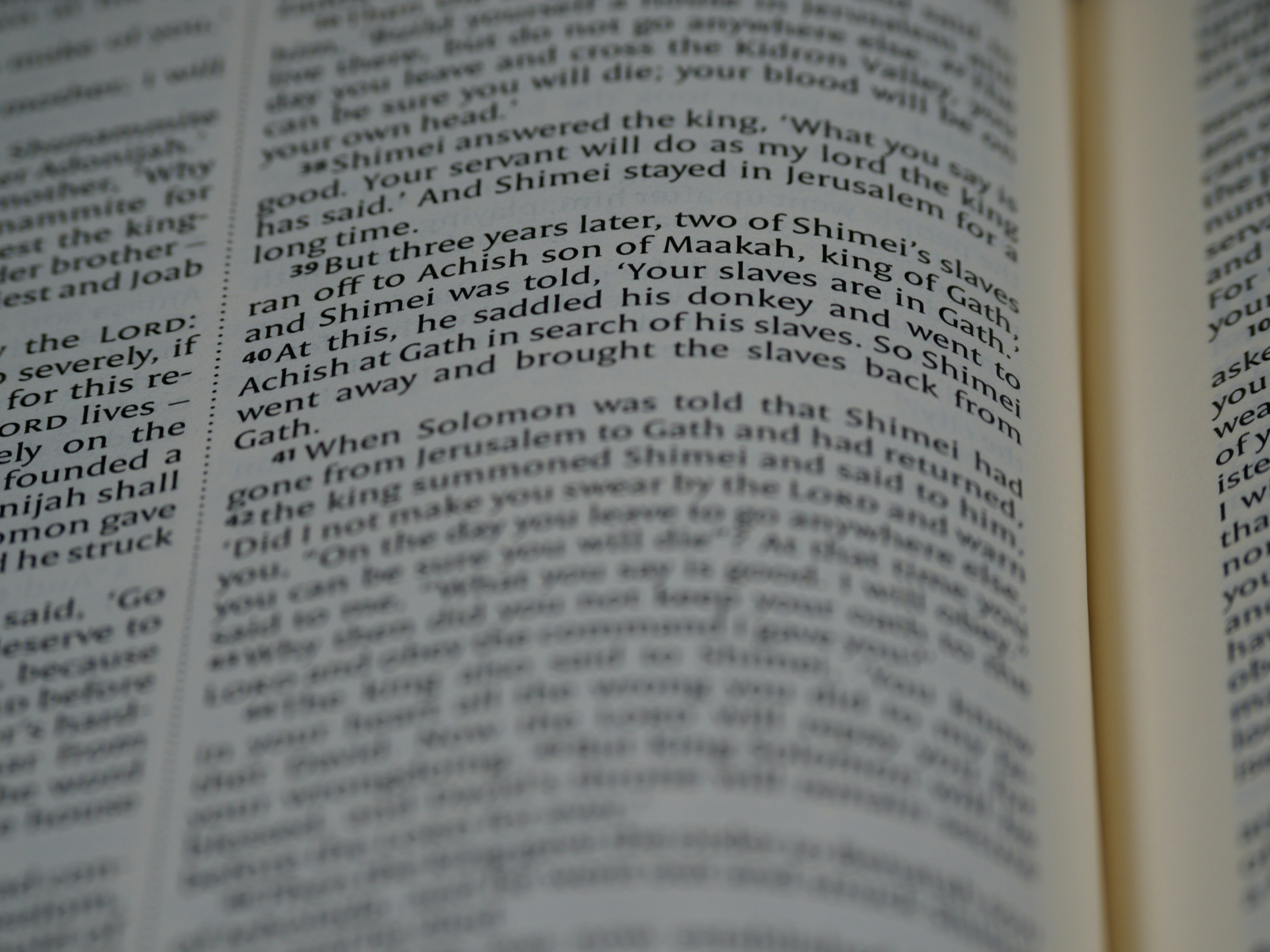 Photo by brett_jordan