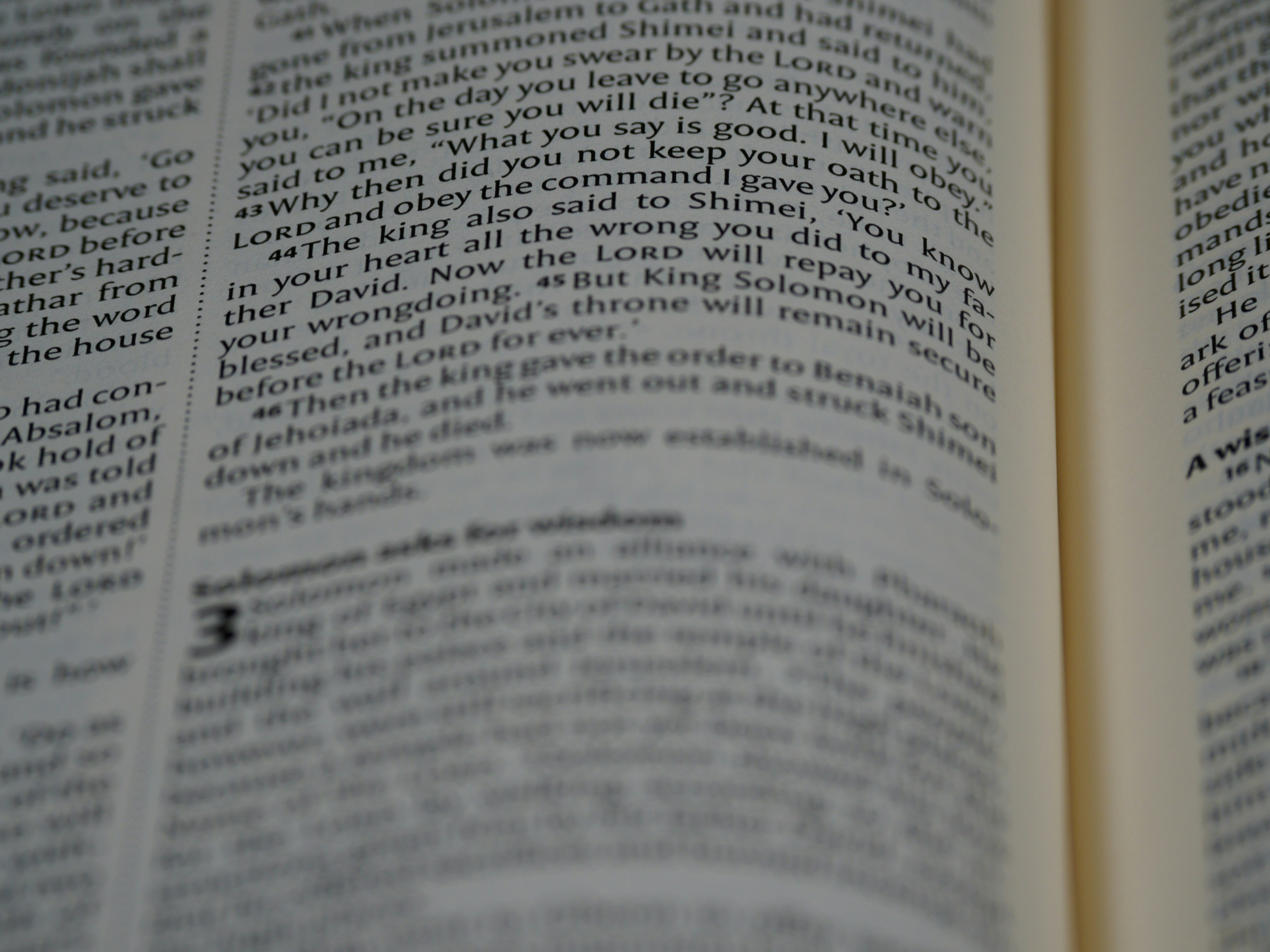 Photo by brett_jordan