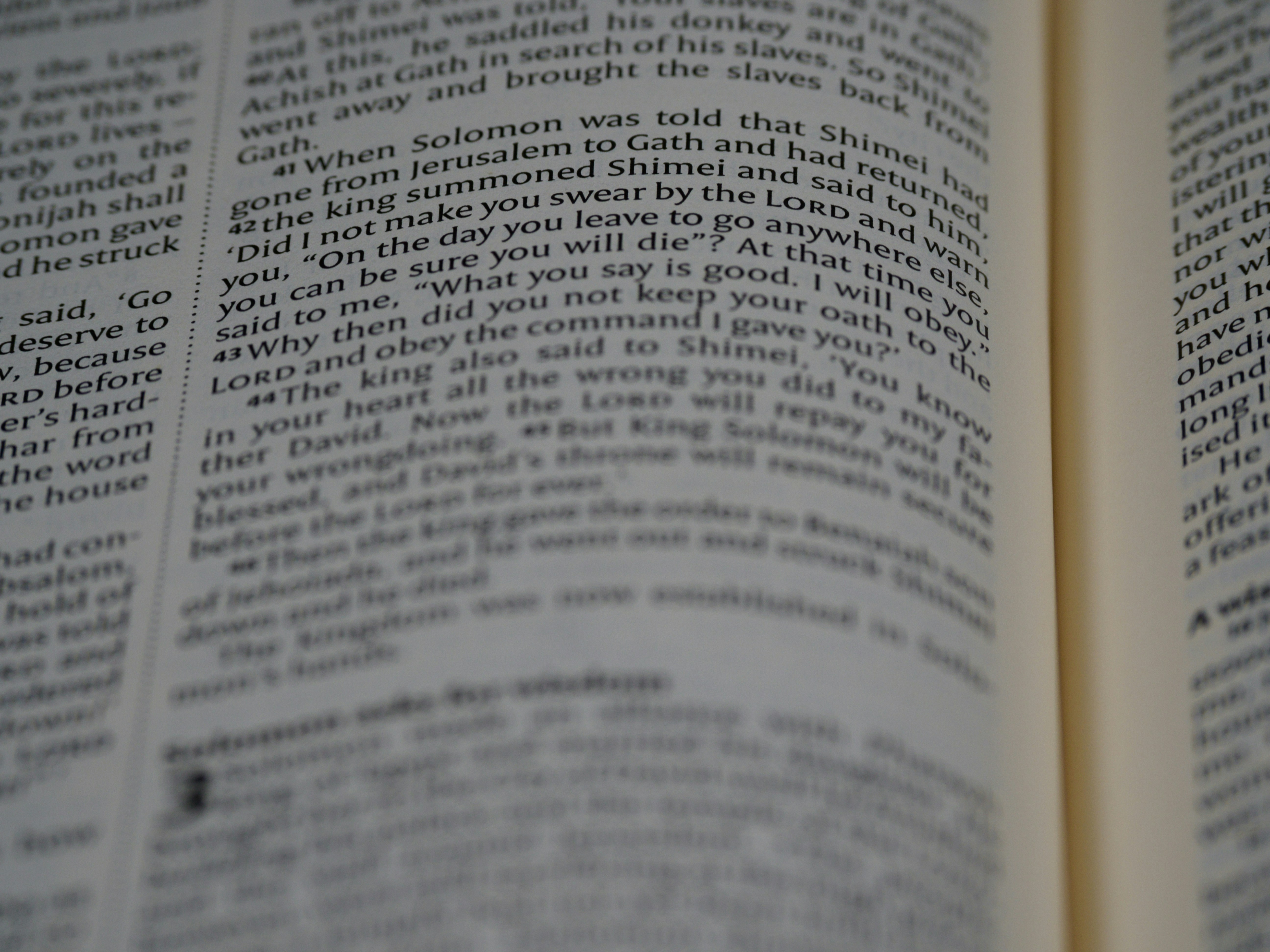 Photo by brett_jordan