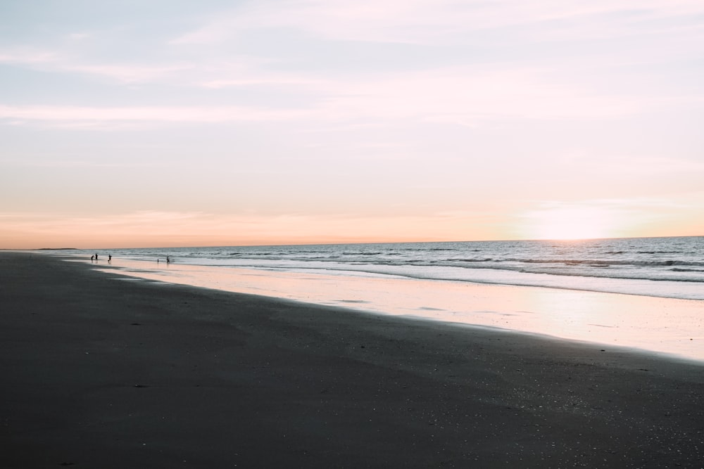 people walking on beach during daytime