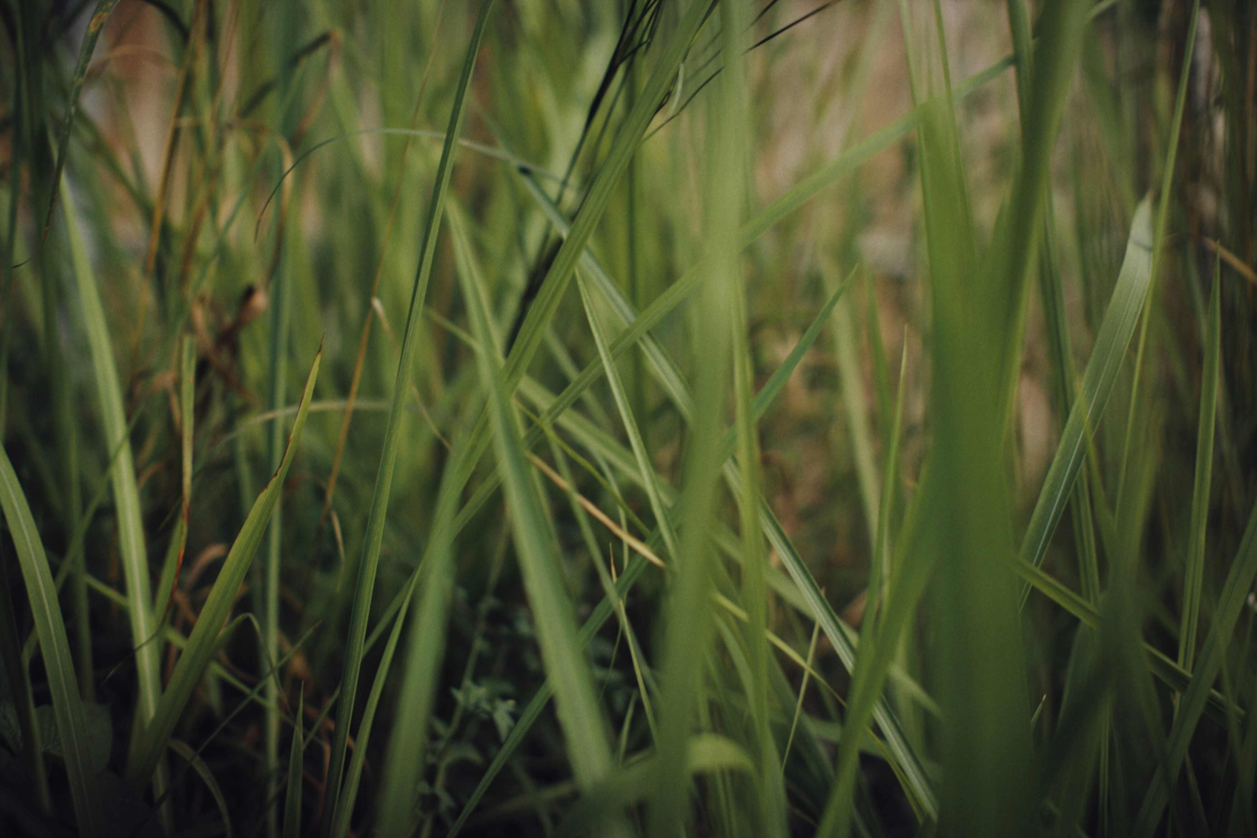 Photo by alexeydemidov