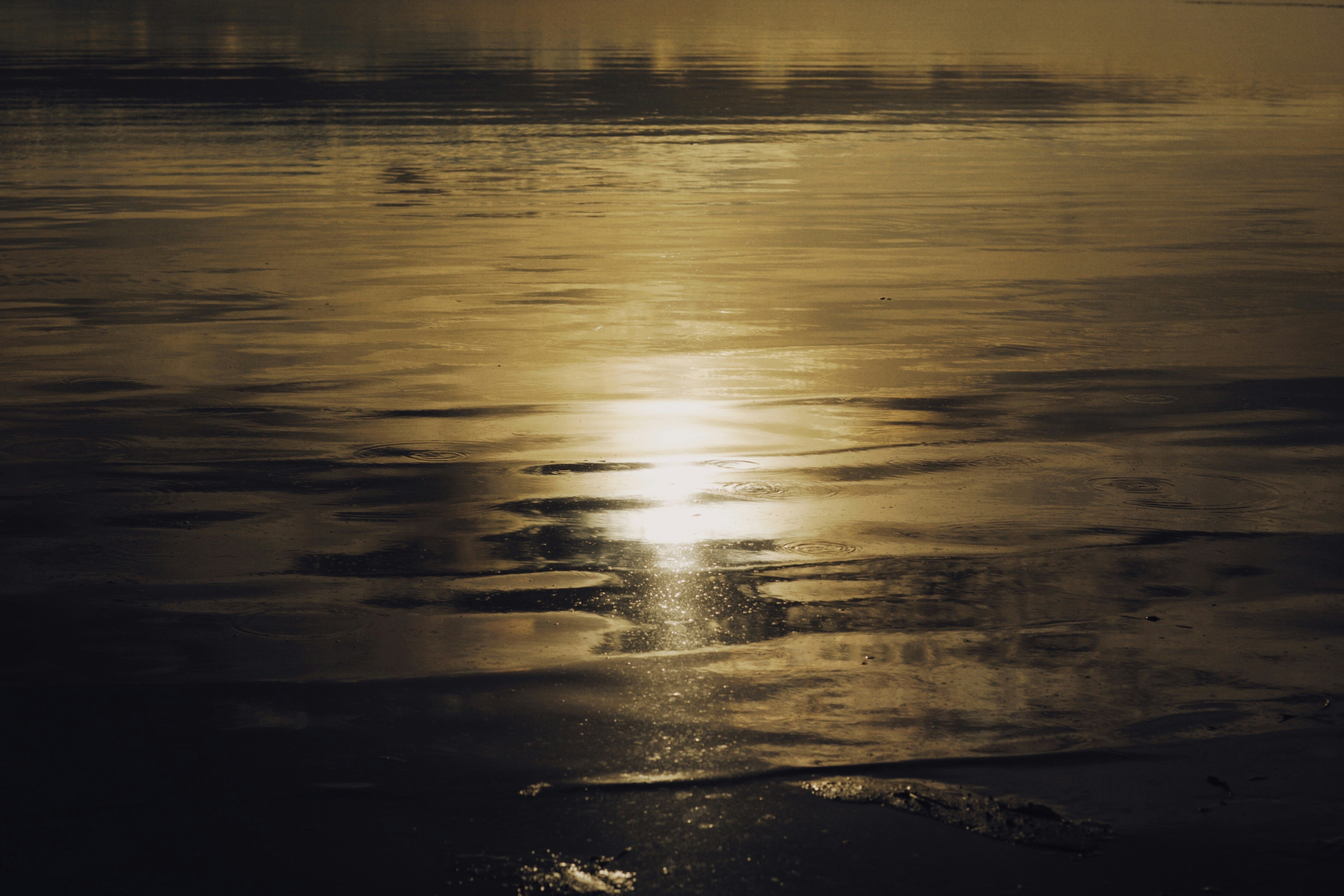 Photo by alexeydemidov