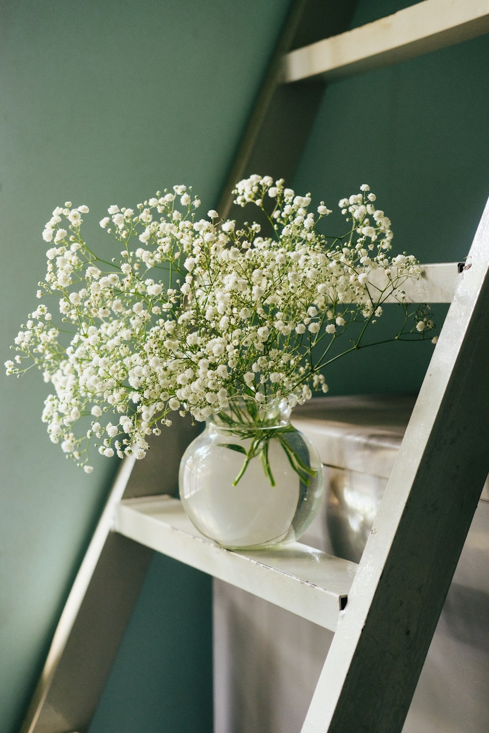 flores brancas no vaso de cerâmica branco