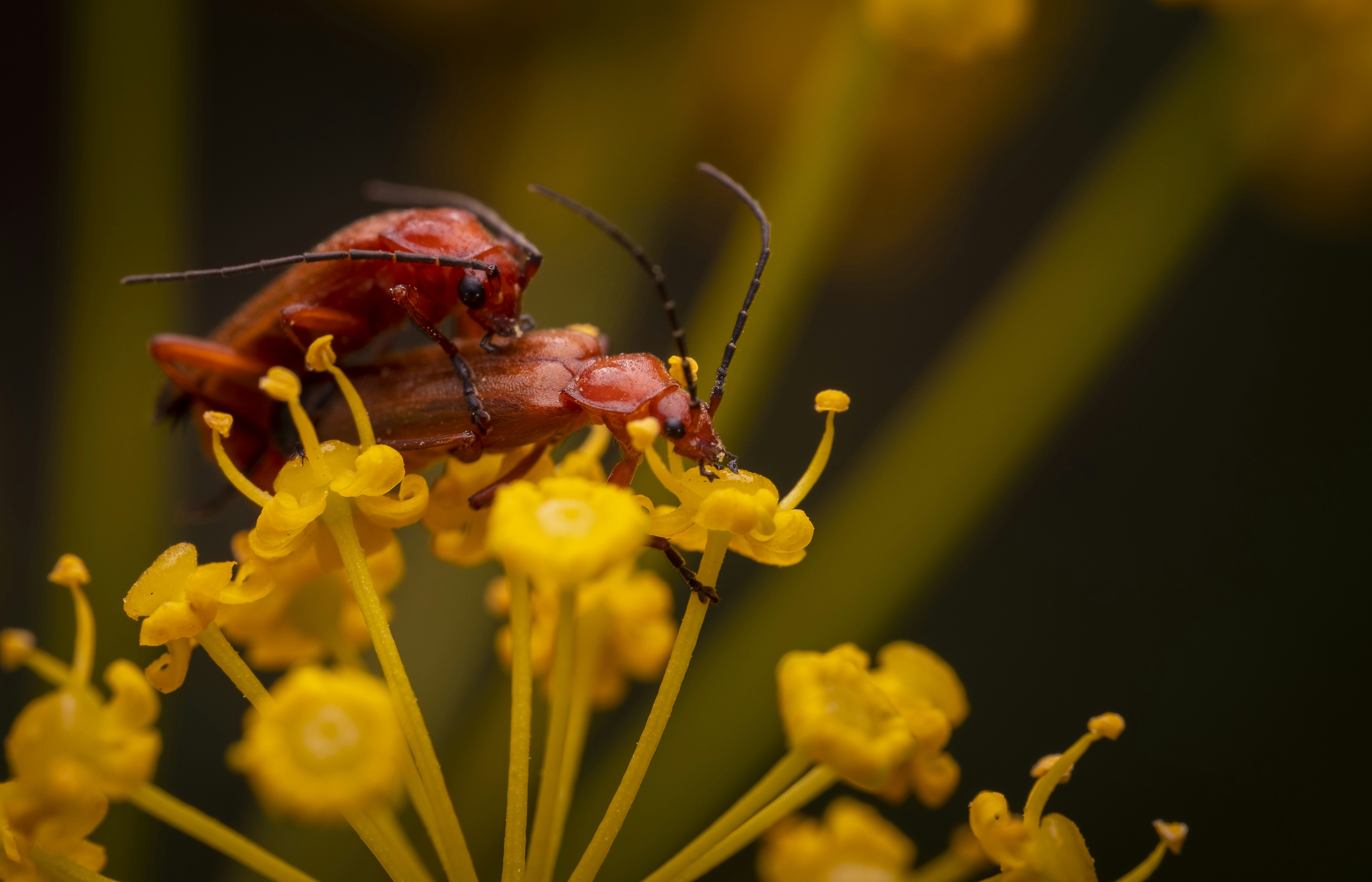 Photo by victor_vector