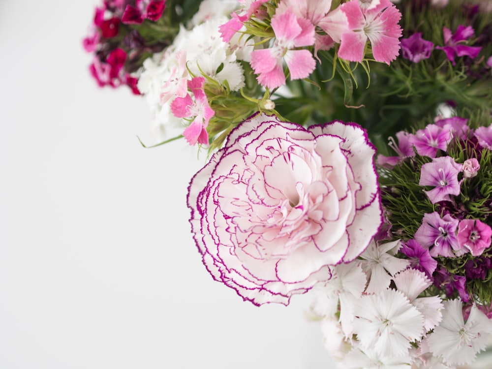 pink and white flowers with green leaves