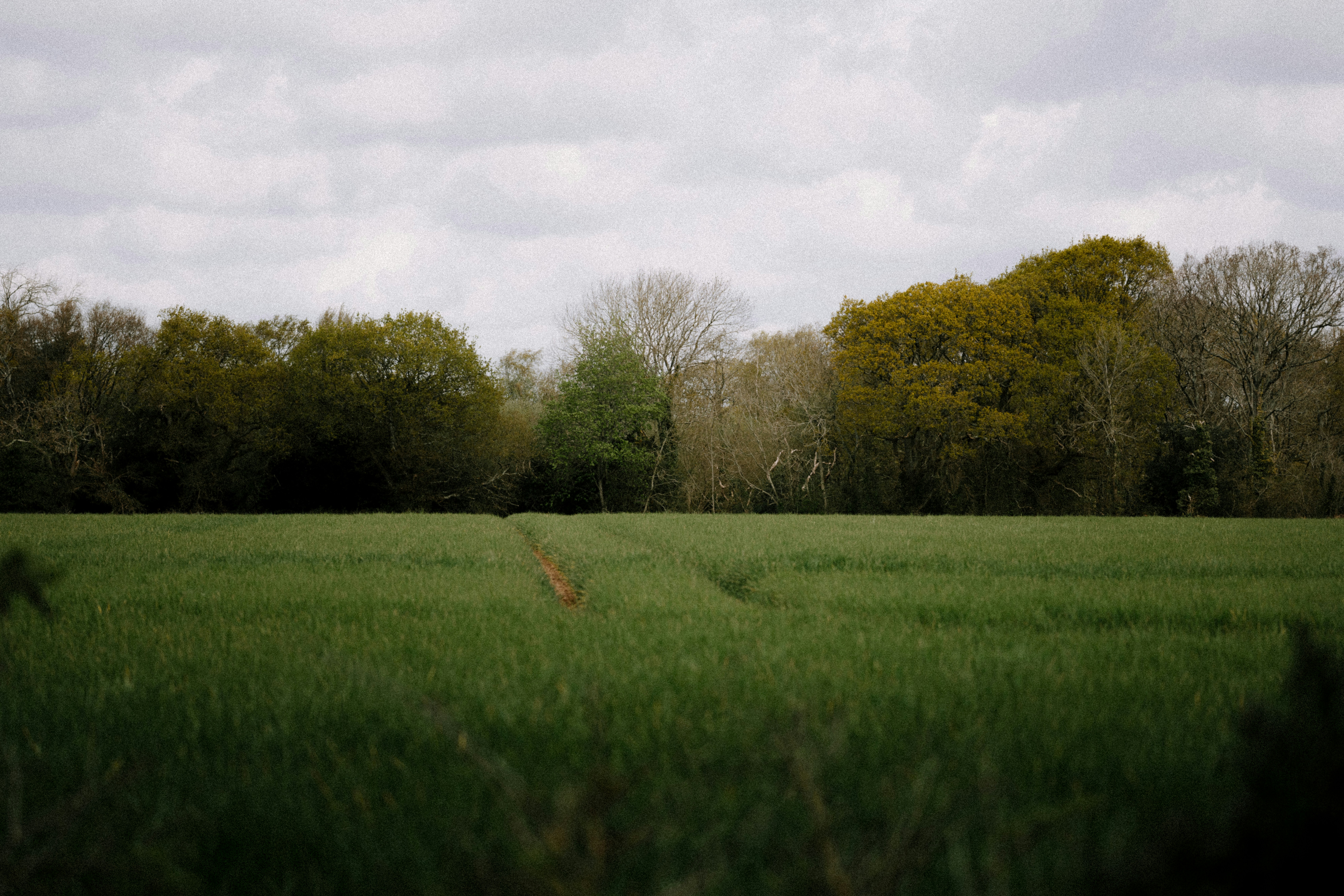 Photo by anniespratt