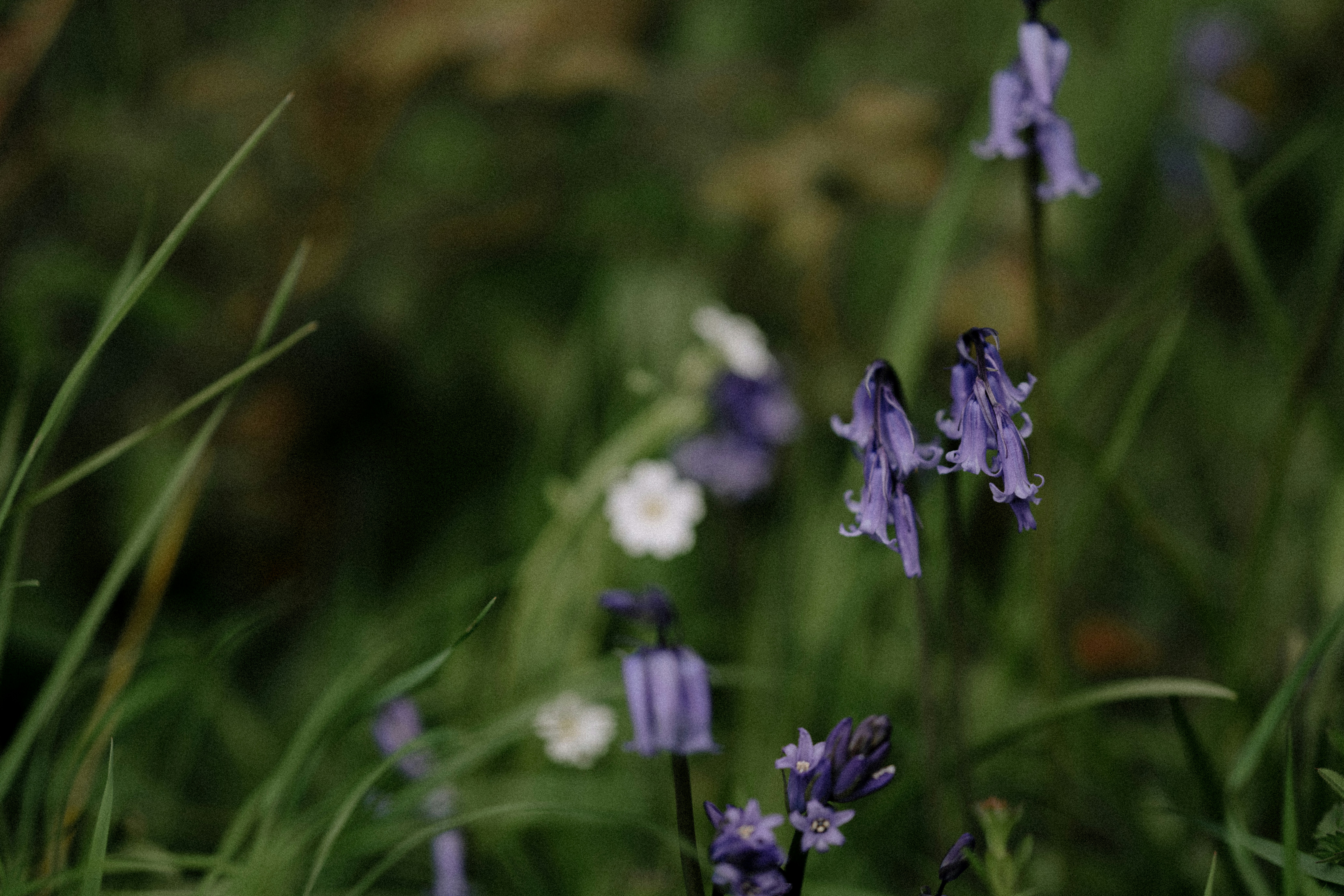 Photo by anniespratt