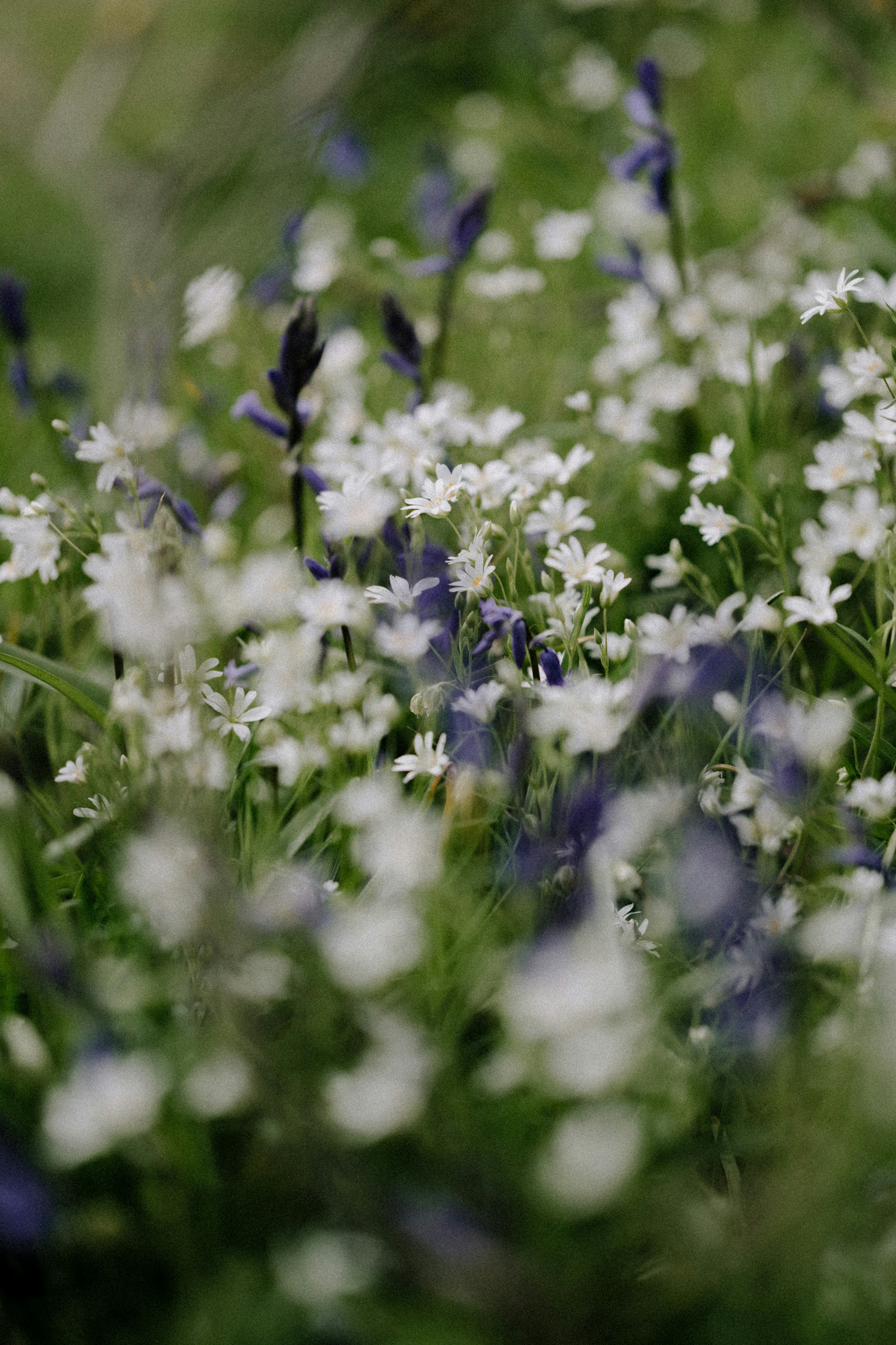 Photo by anniespratt