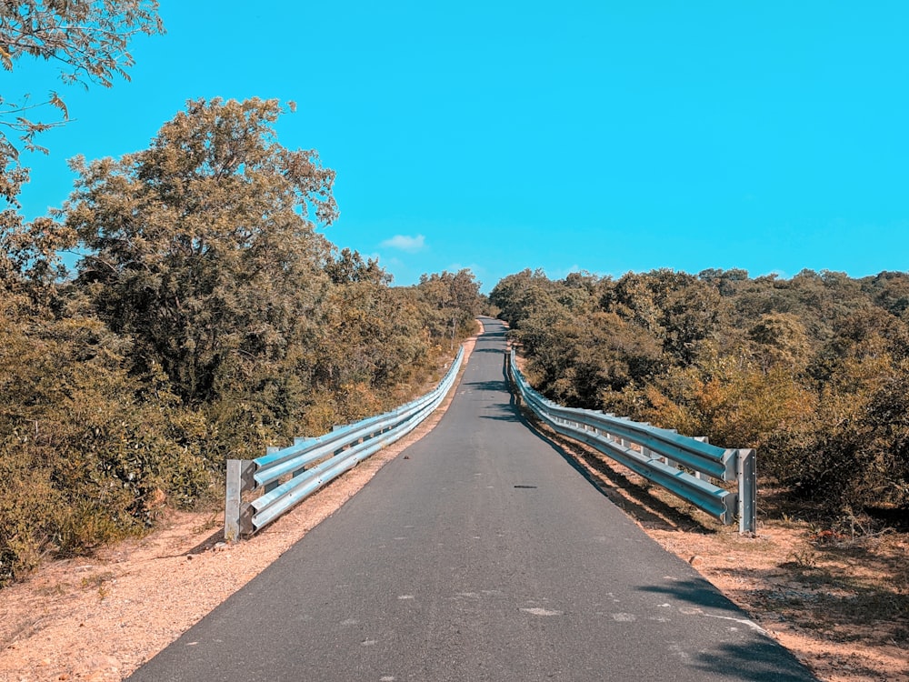 gray concrete road between green trees under blue sky during daytime