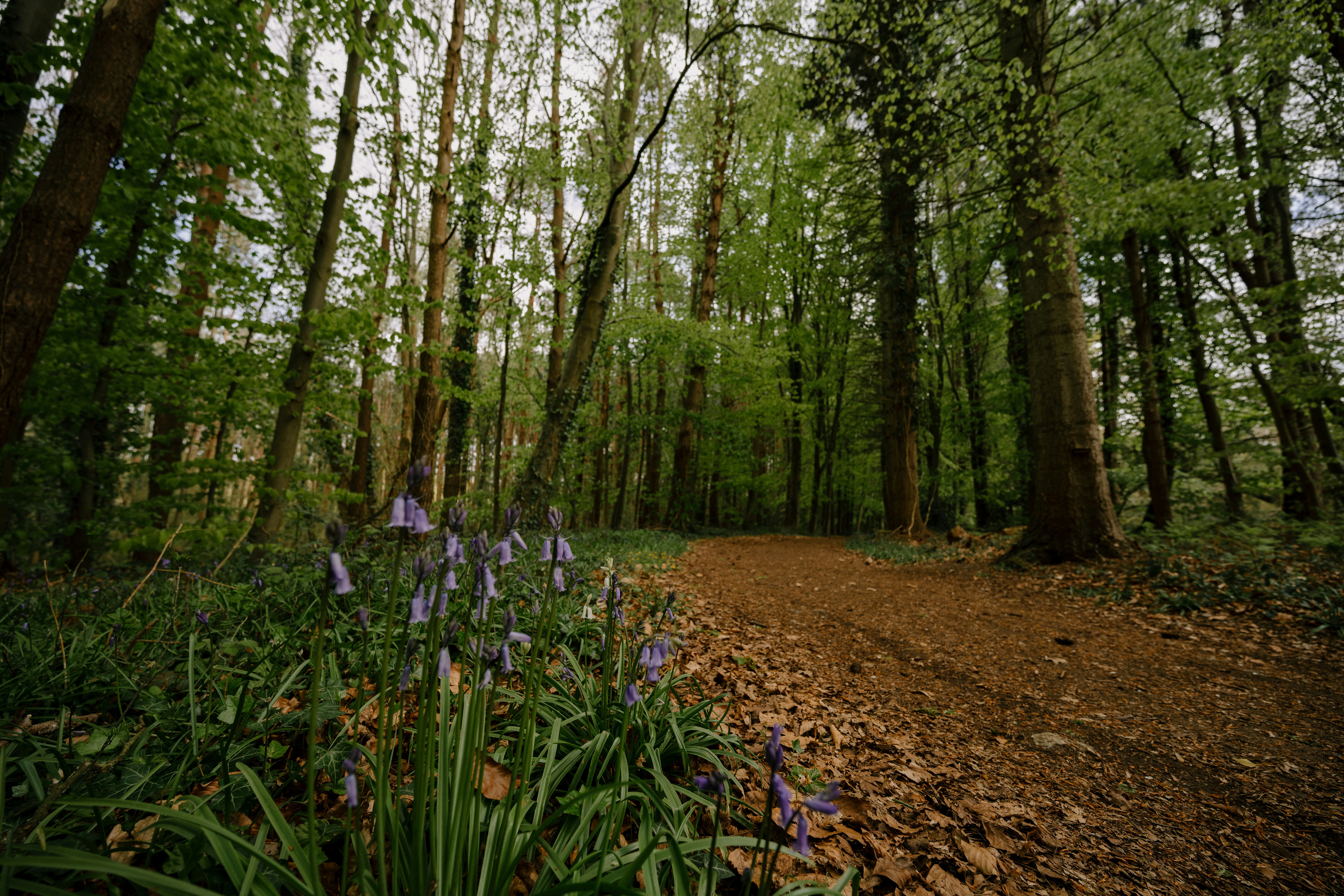 Photo by anniespratt