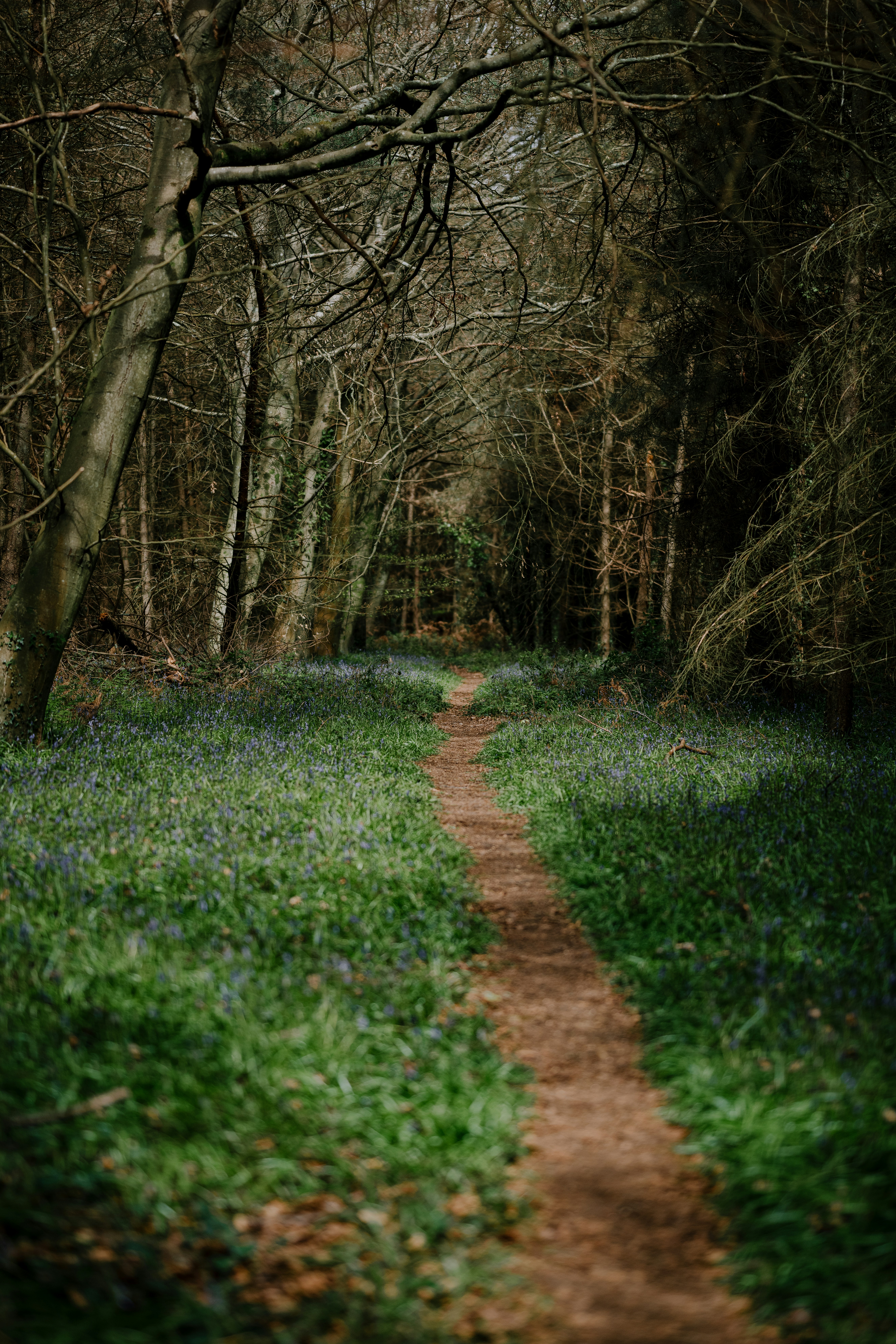 Photo by anniespratt